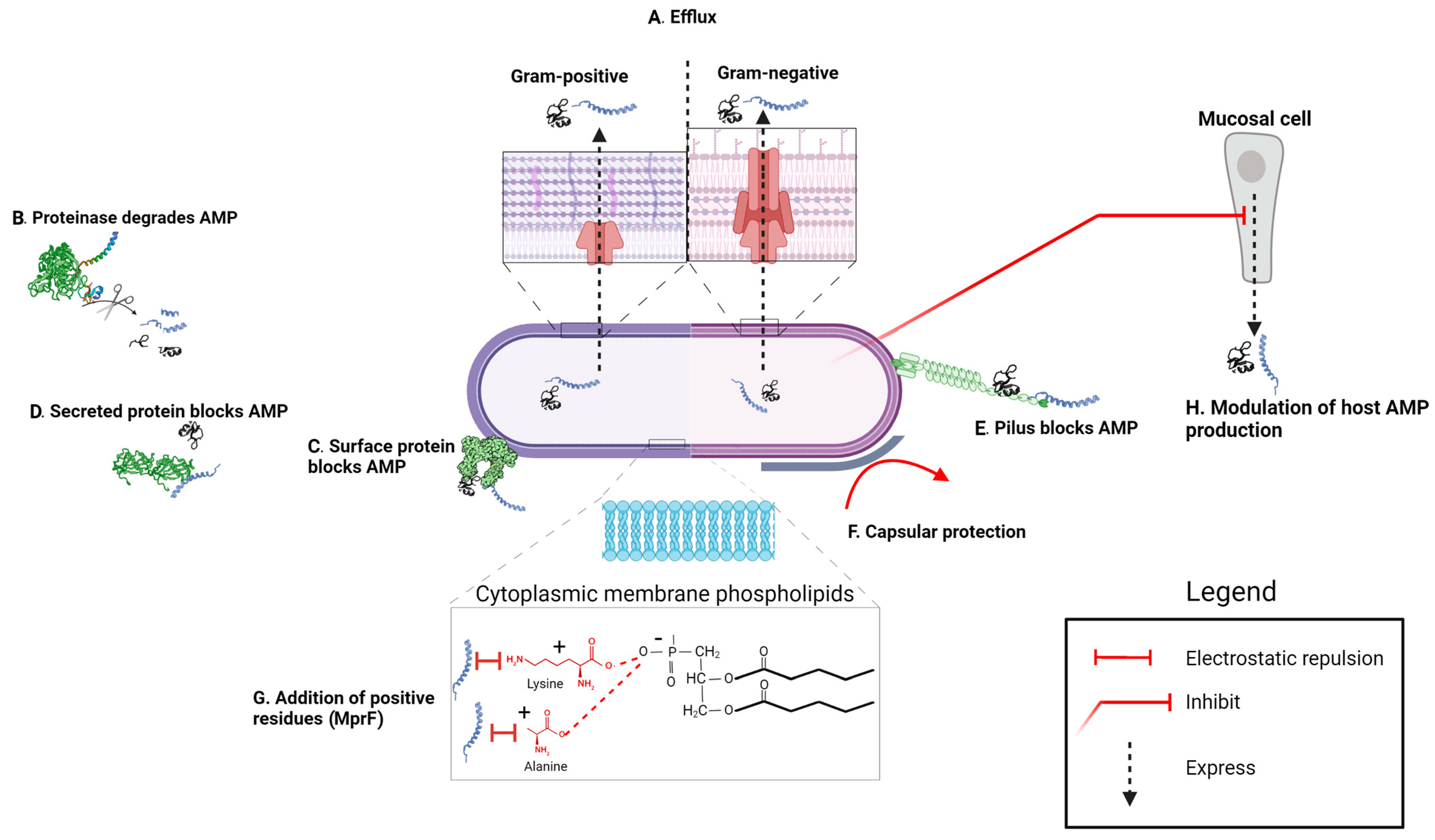 Microorganisms 12 01259 g005 Microorganisms 12 01259 g005