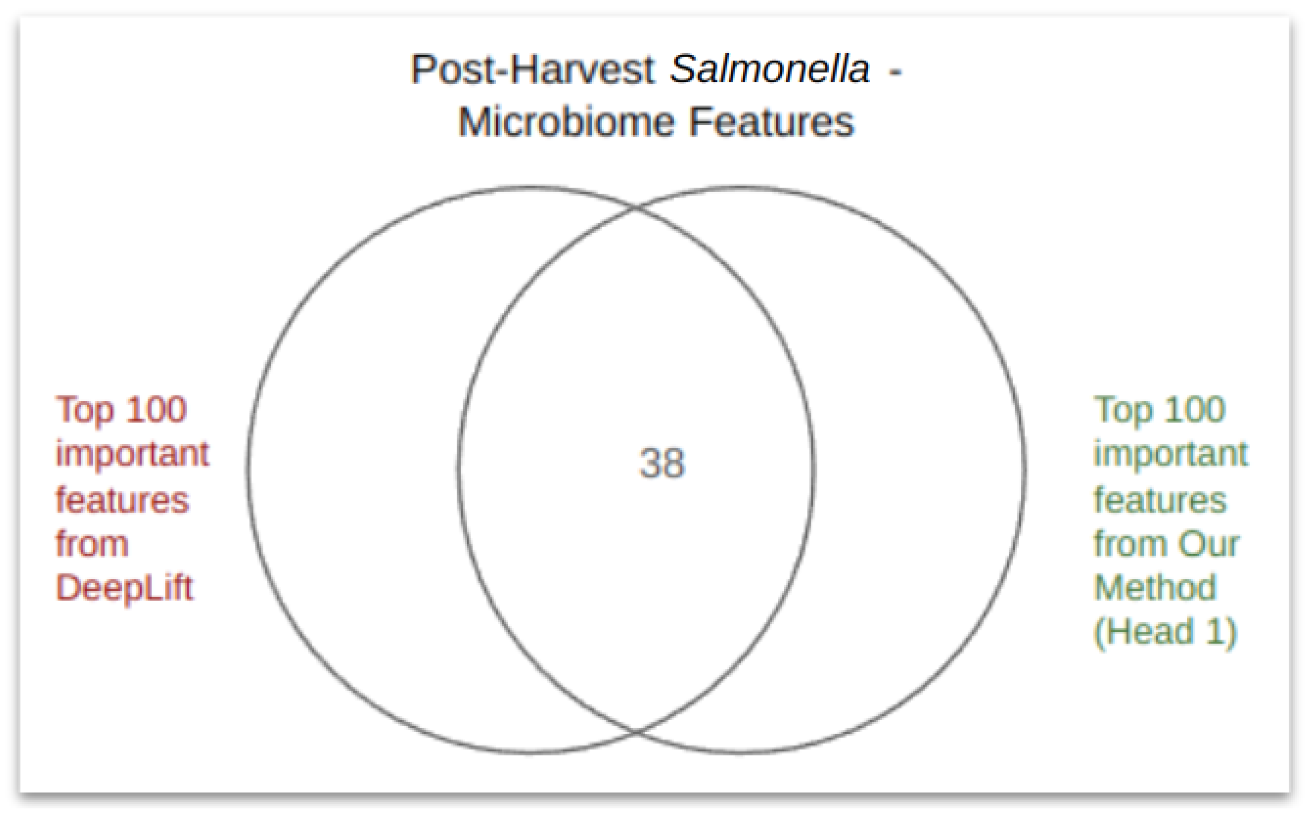 Microorganisms 12 01274 g003