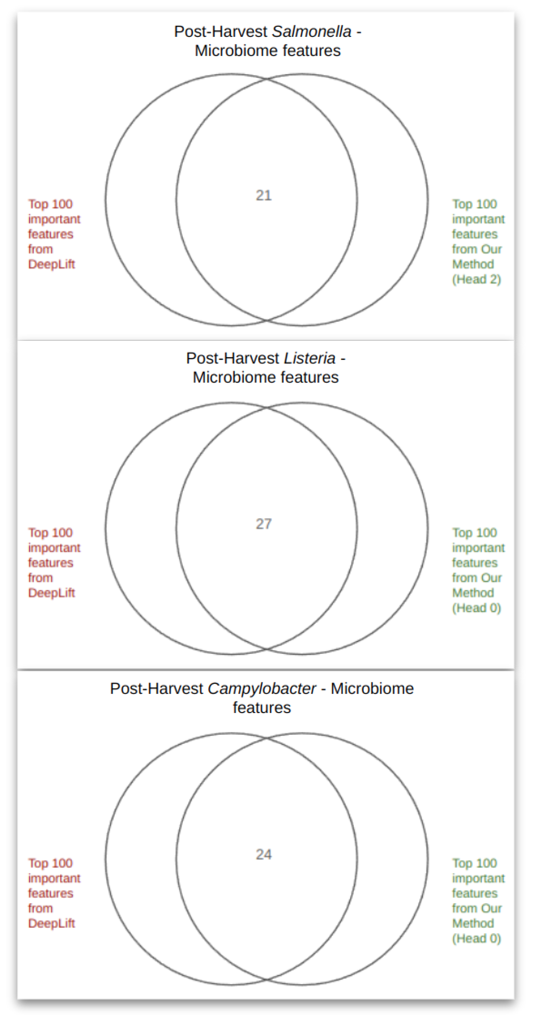 Microorganisms 12 01274 g0a4
