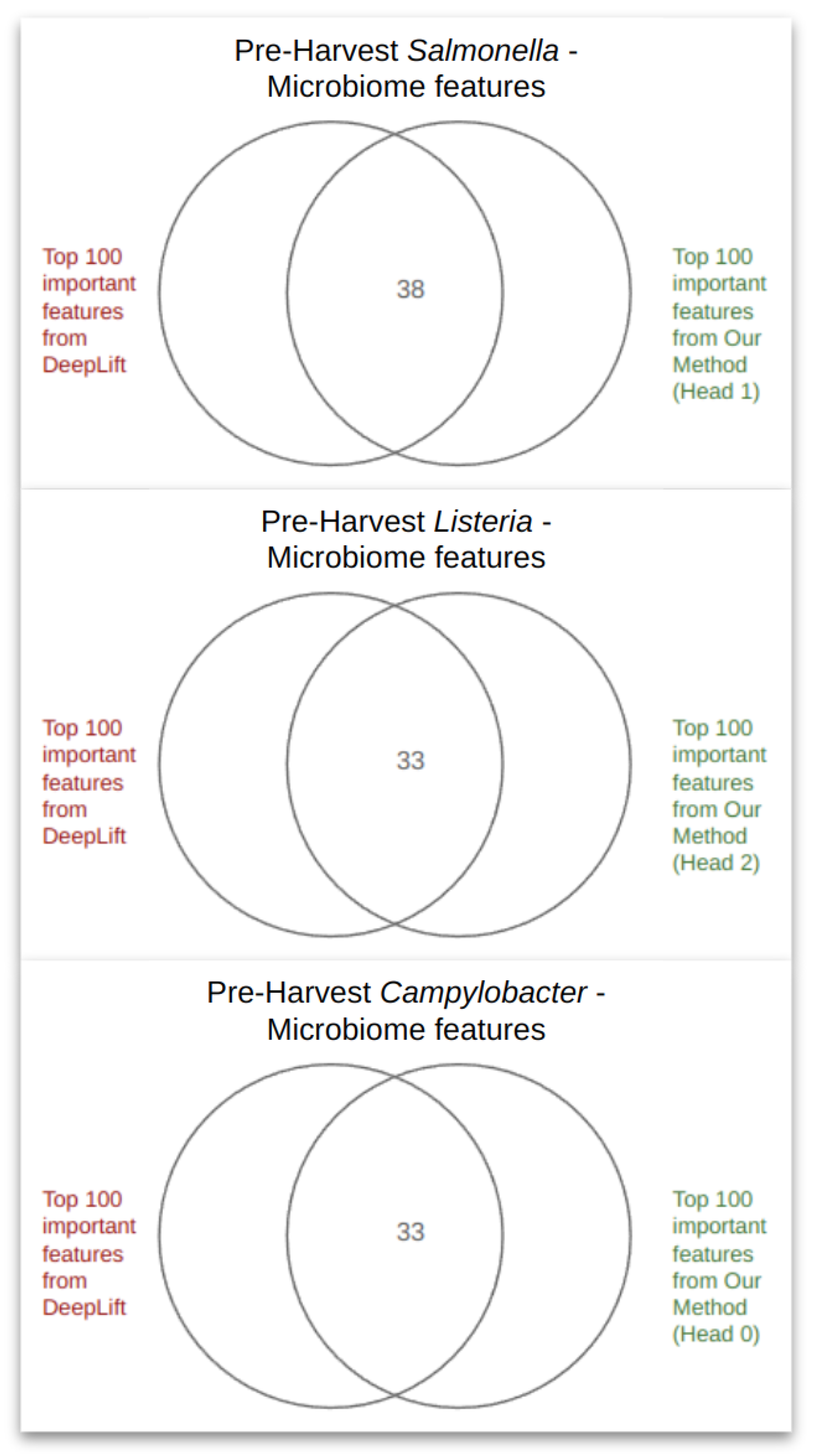 Microorganisms 12 01274 g0a5
