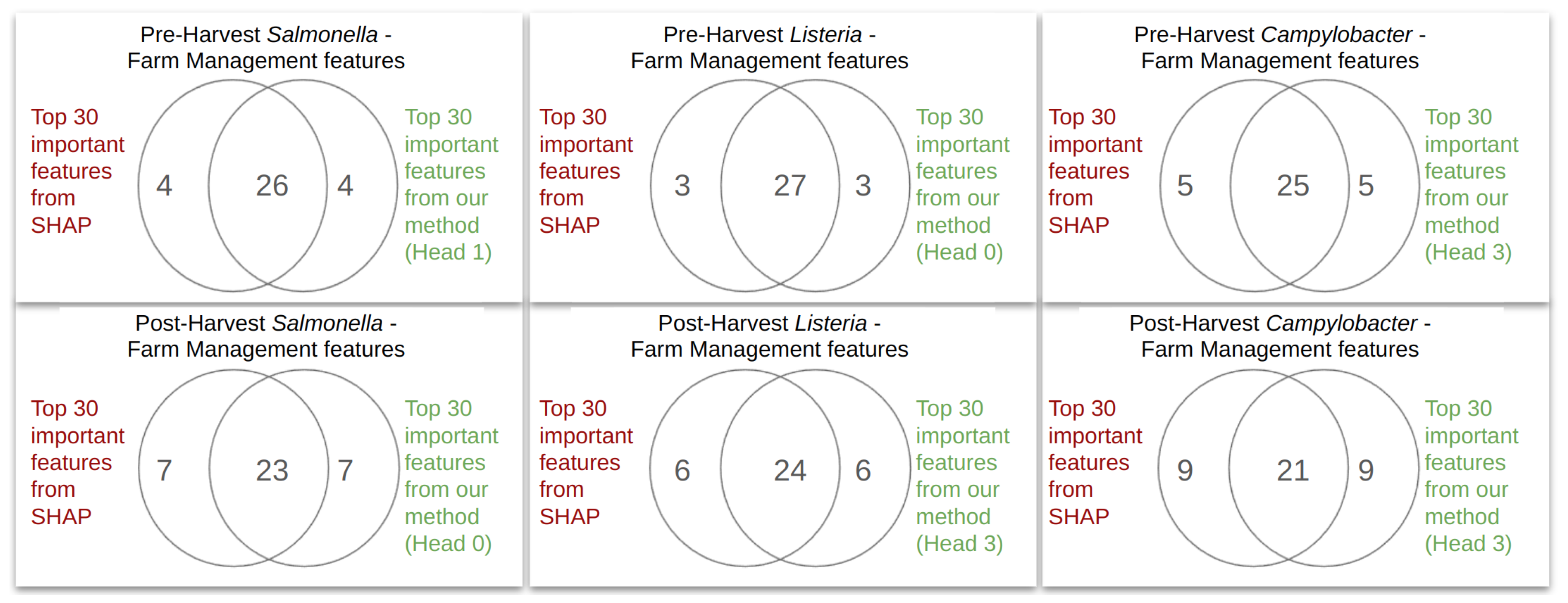 Microorganisms 12 01274 g0a6