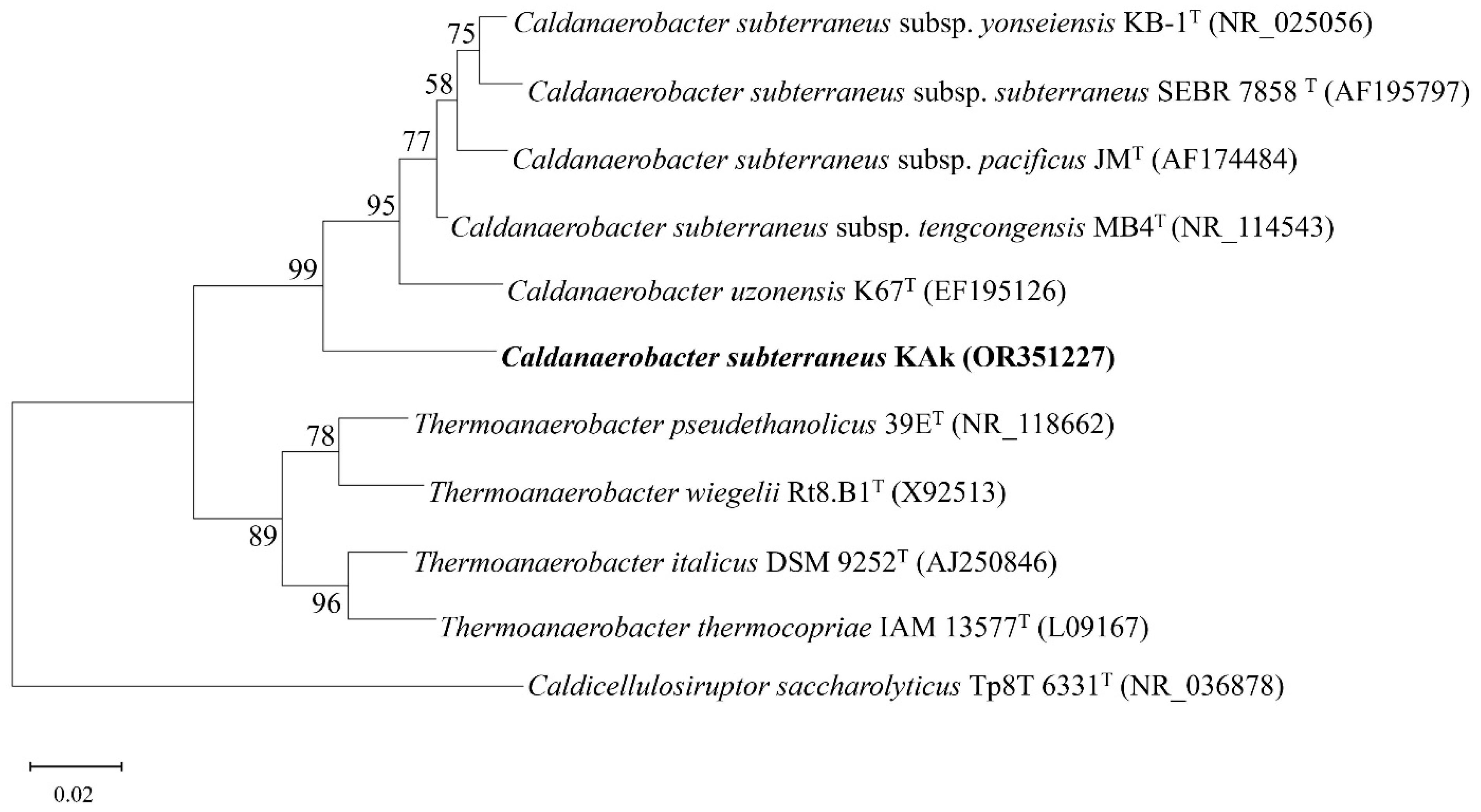 Microorganisms 12 01277 g002 Microorganisms 12 01277 g002