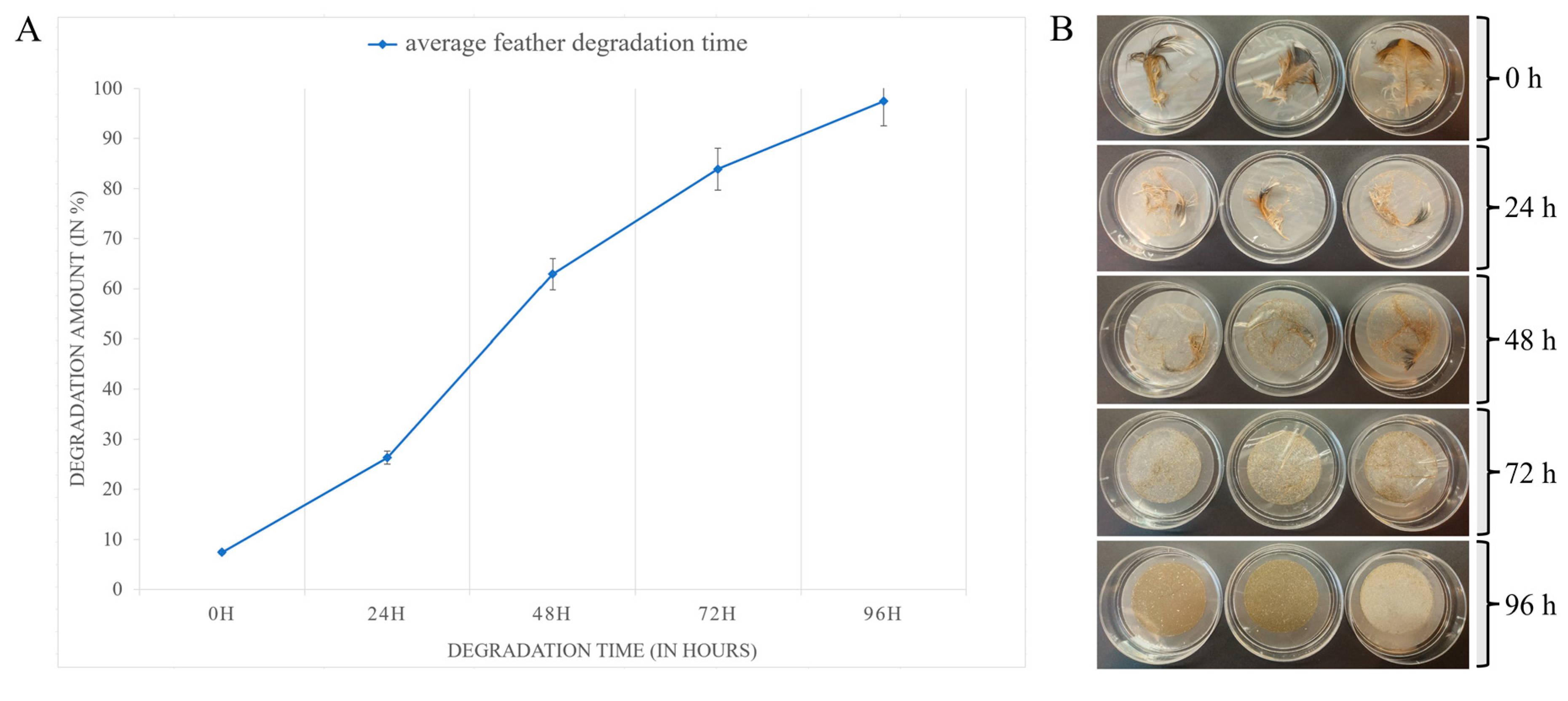 Microorganisms 12 01277 g004 Microorganisms 12 01277 g004