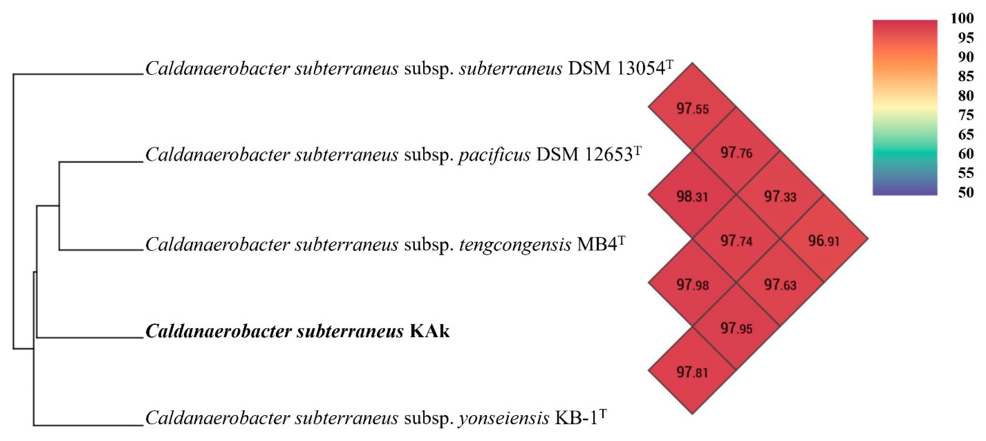 Microorganisms 12 01277 g005 Microorganisms 12 01277 g005