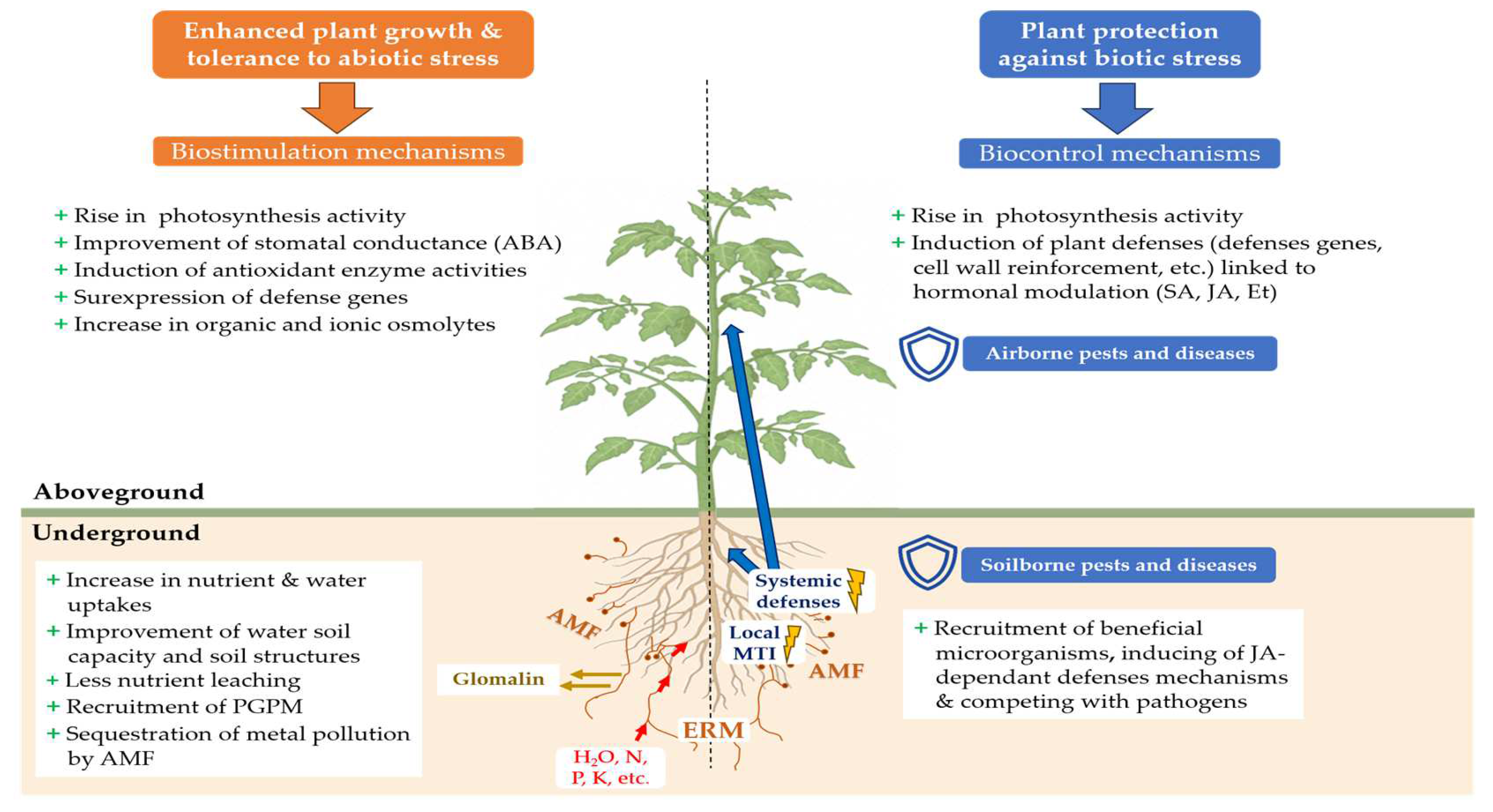 Microorganisms 12 01281 g002 Microorganisms 12 01281 g002