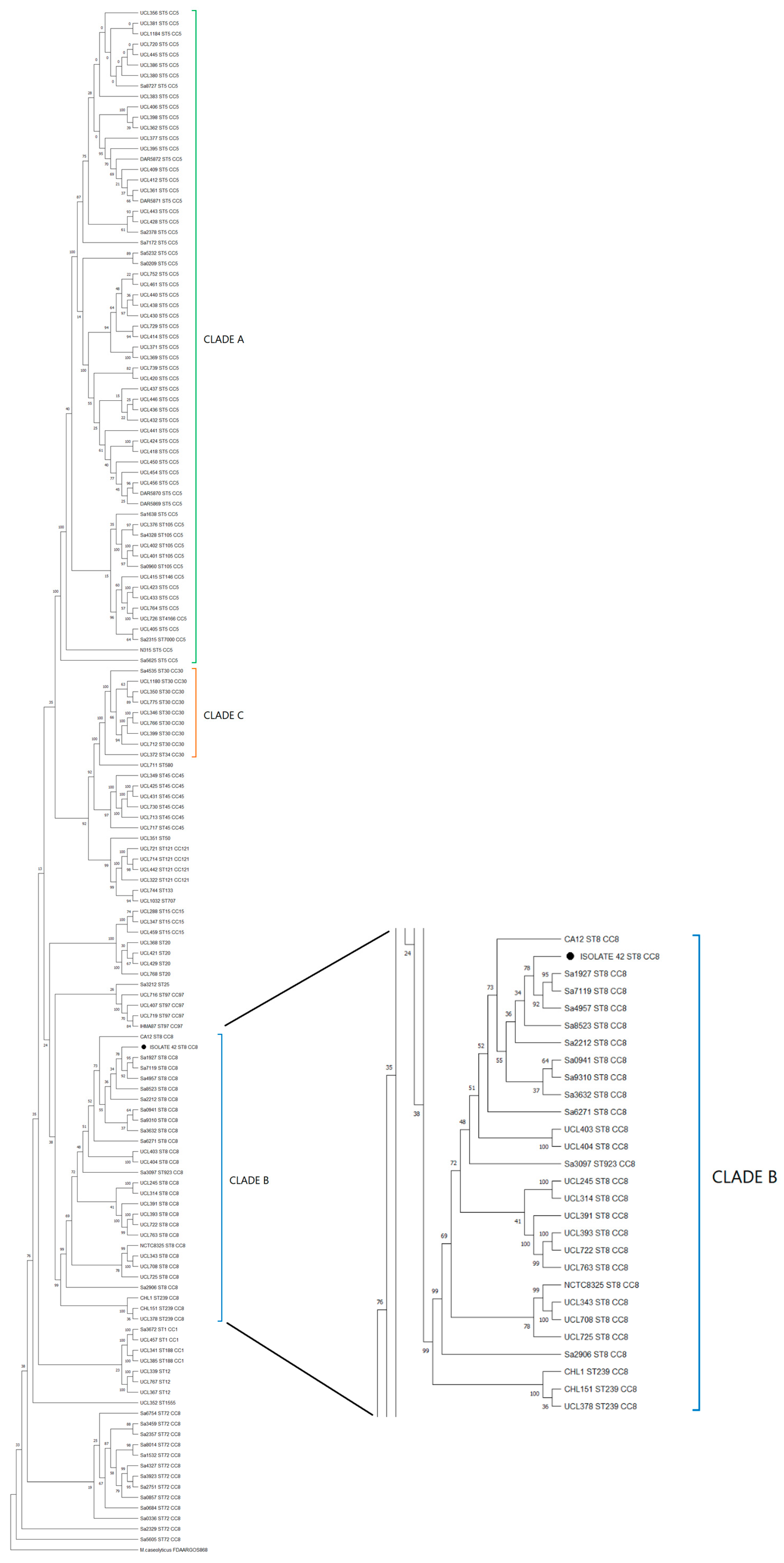 Microorganisms 12 01284 g004