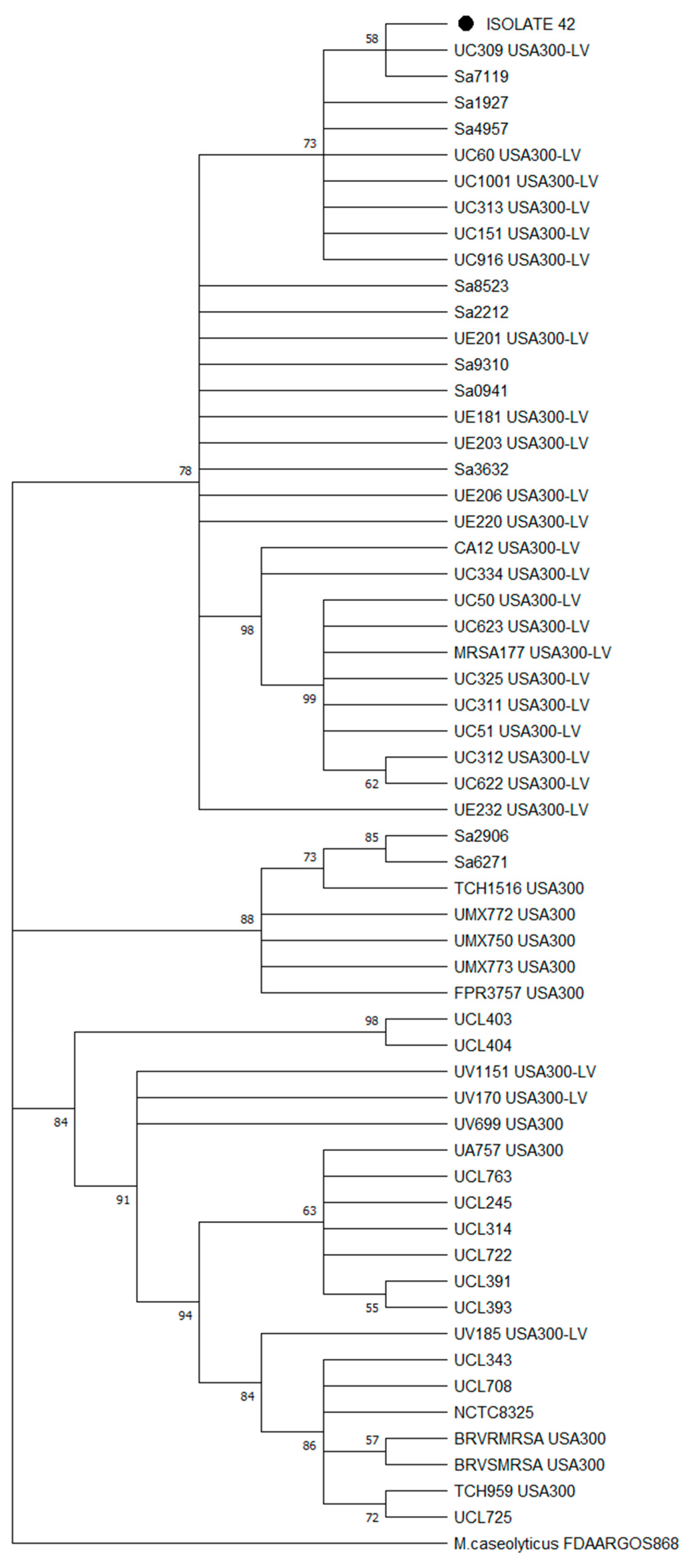 Microorganisms 12 01284 g005