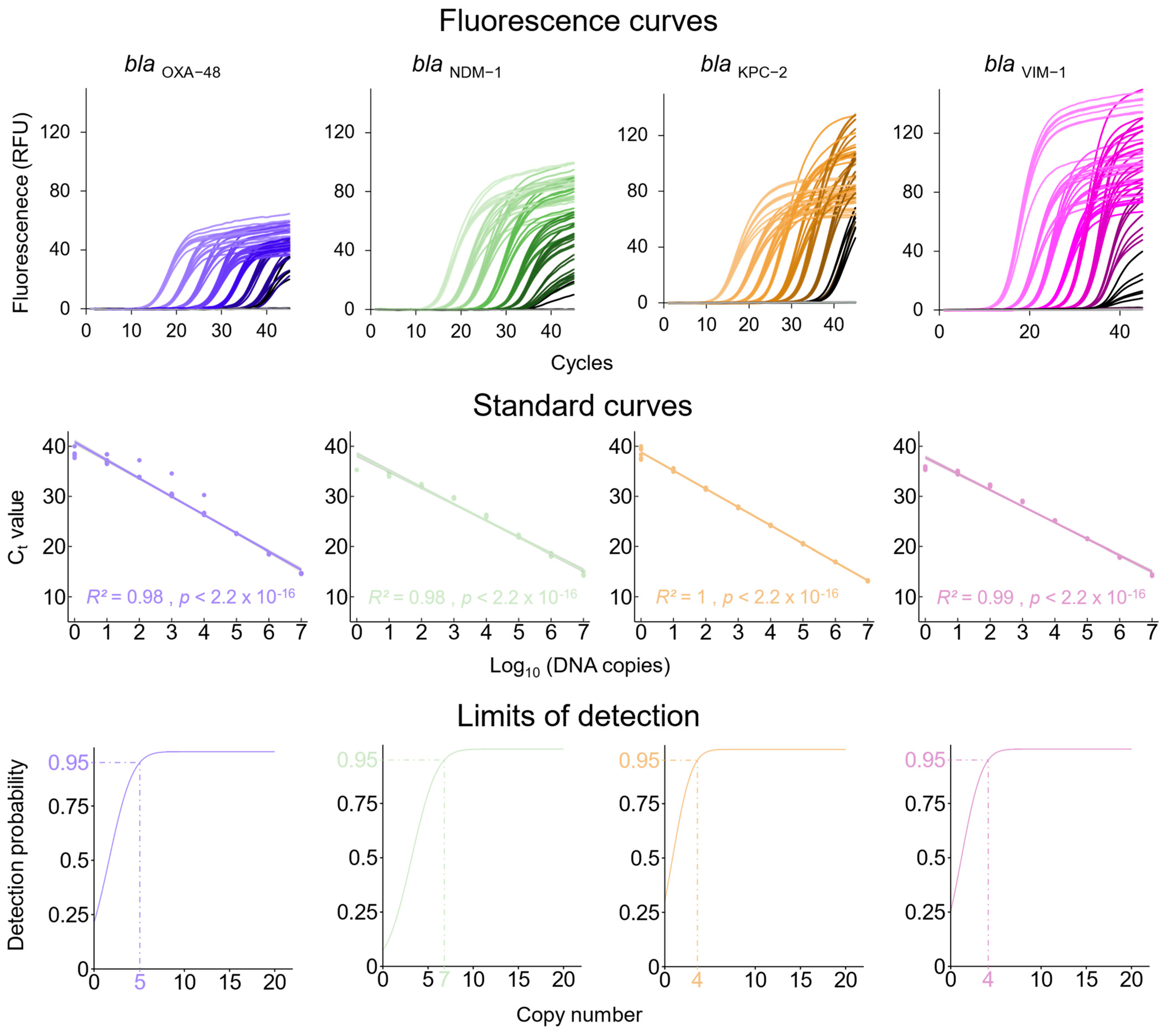 Microorganisms 12 01285 g001
