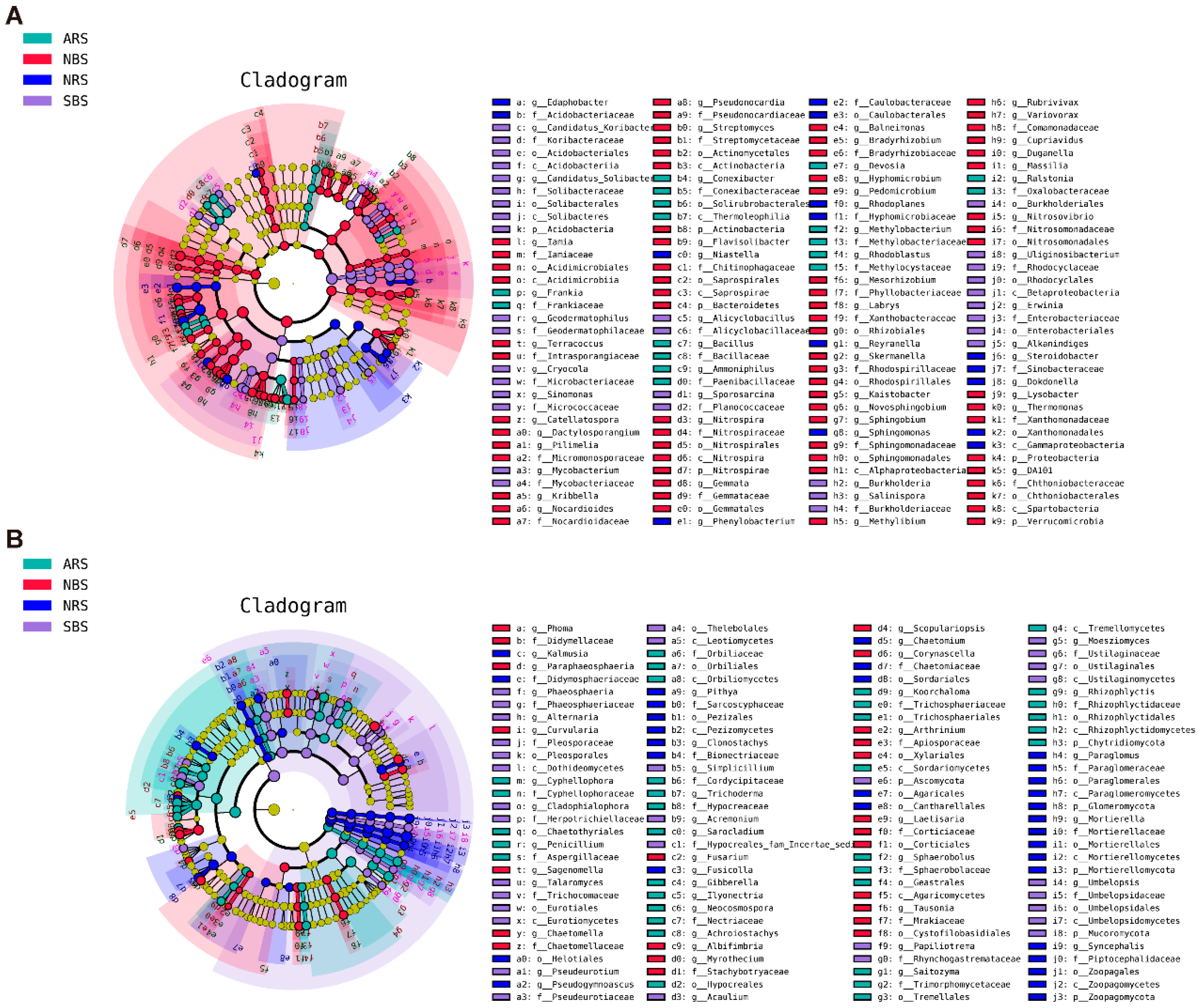 Microorganisms 12 01287 g003