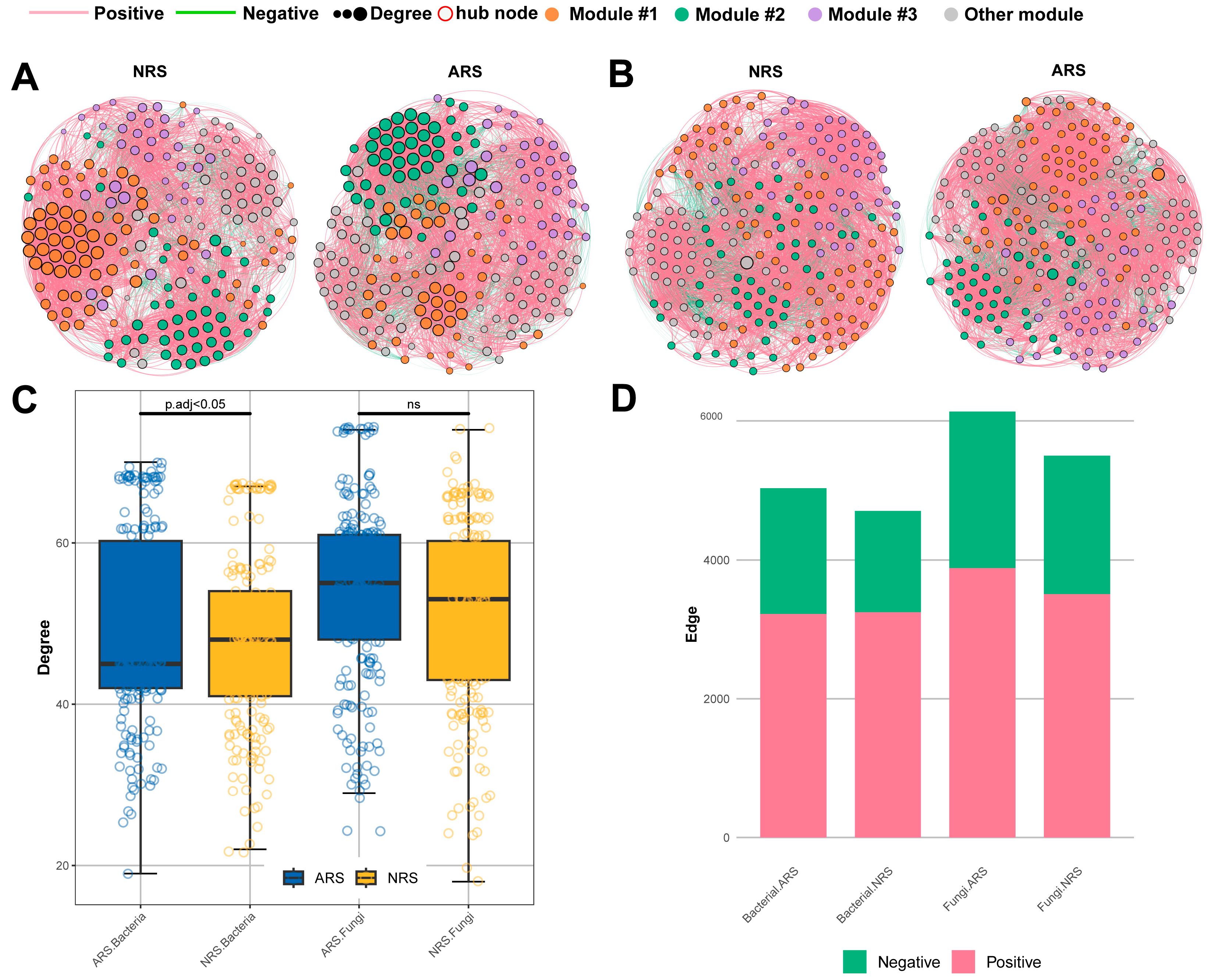Microorganisms 12 01287 g004