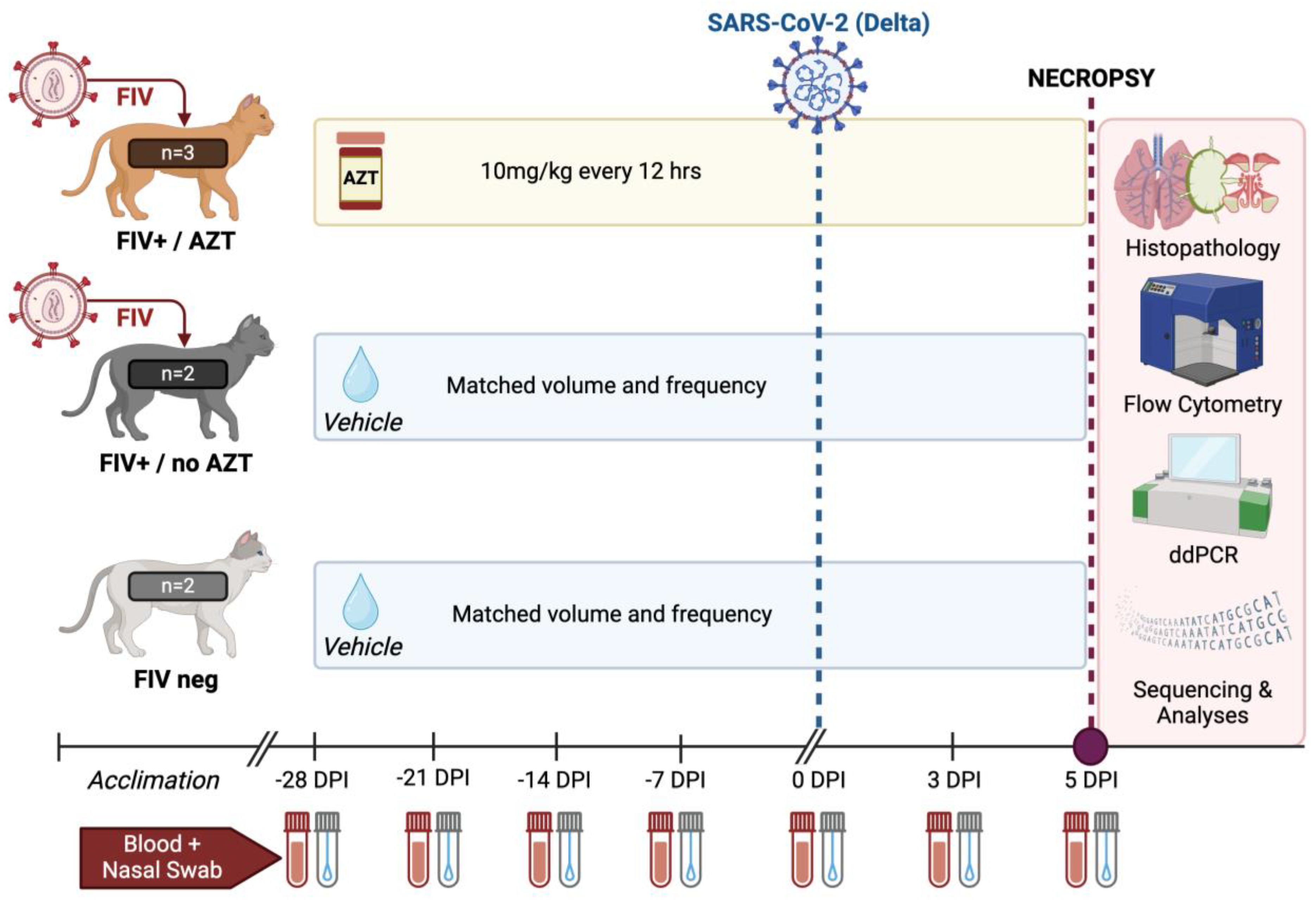 Microorganisms 12 01289 g001 Microorganisms 12 01289 g001