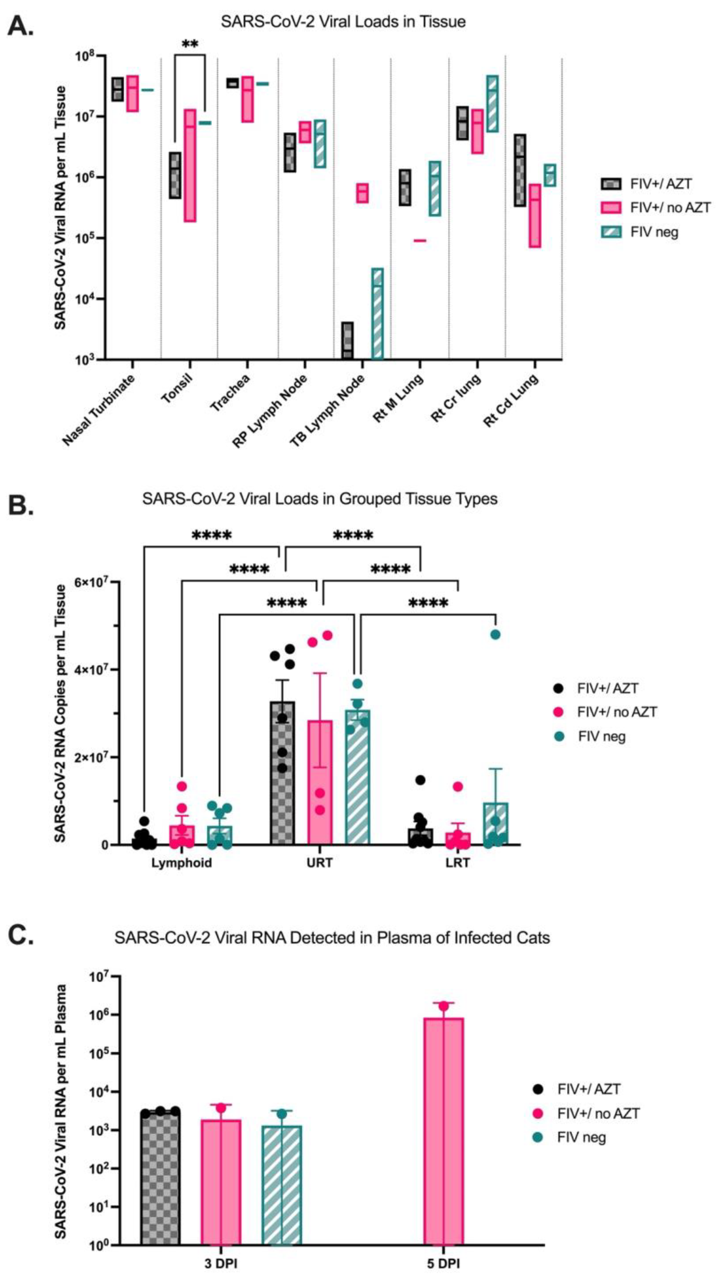 Microorganisms 12 01289 g004 Microorganisms 12 01289 g004