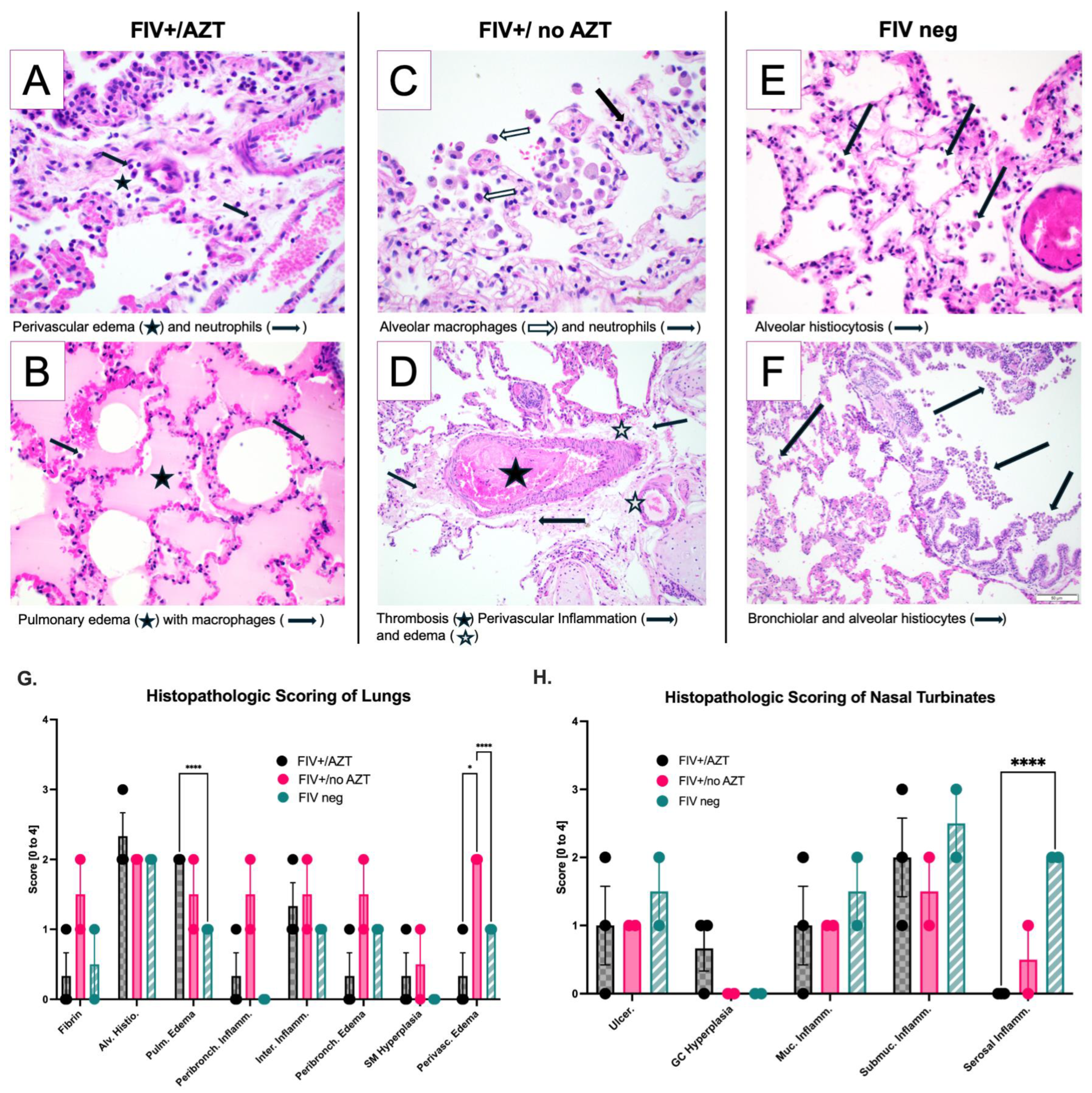 Microorganisms 12 01289 g005 Microorganisms 12 01289 g005