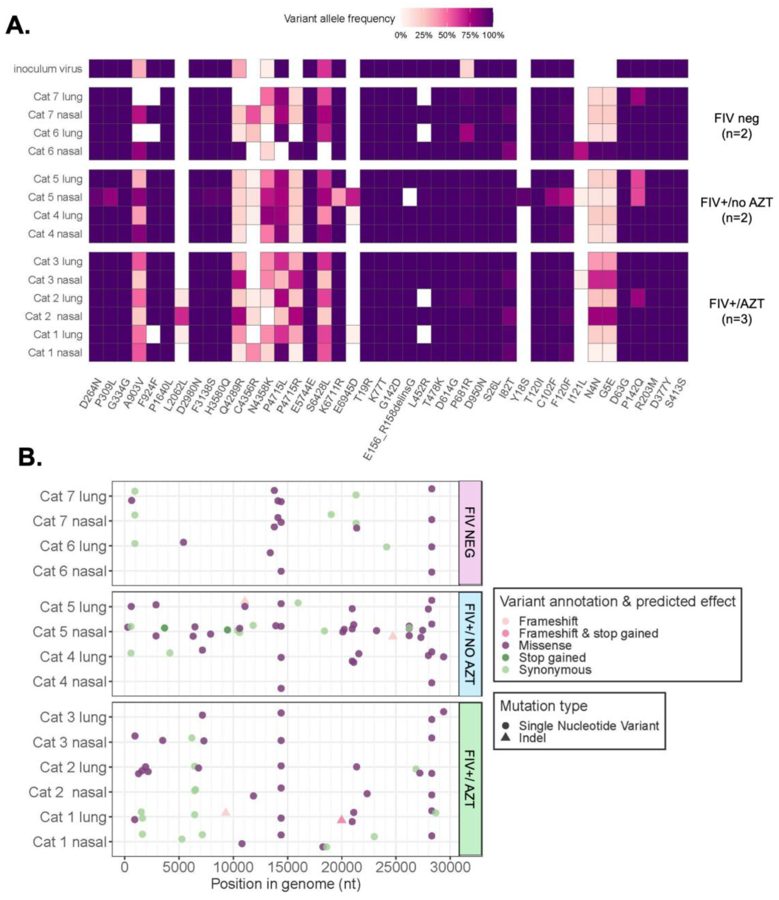 Microorganisms 12 01289 g007 Microorganisms 12 01289 g007