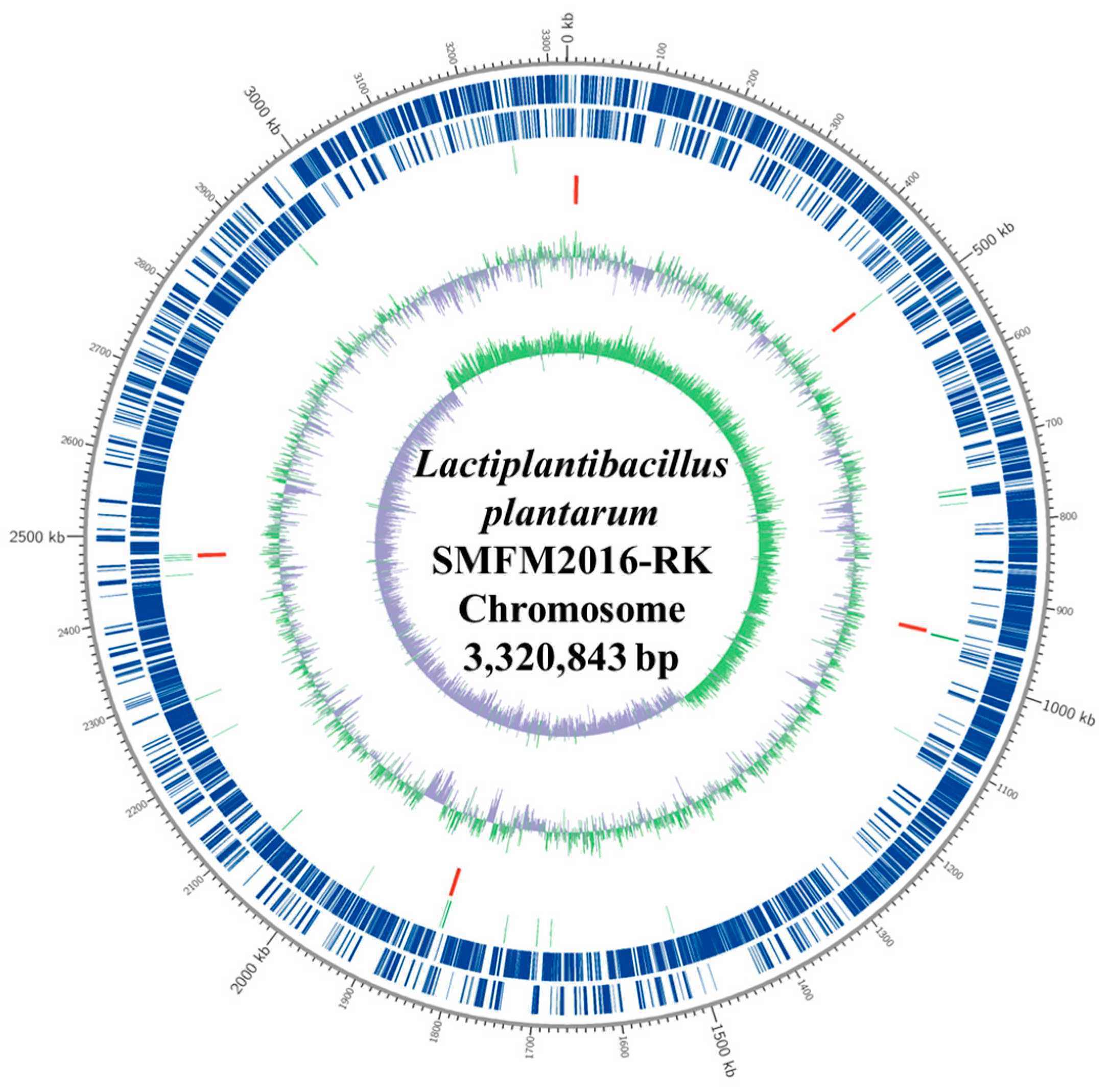 Microorganisms 12 01290 g004