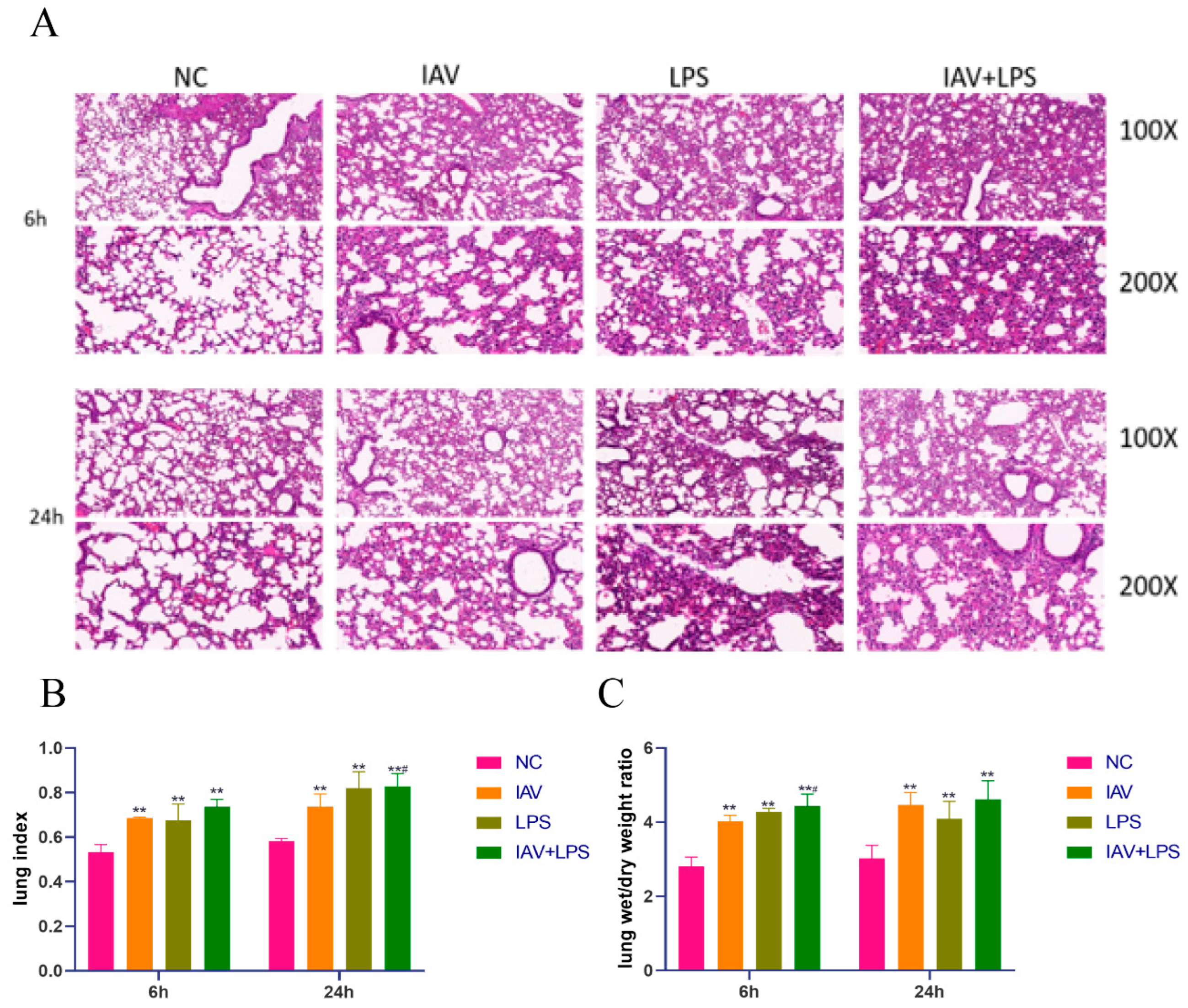 Microorganisms 12 01291 g002