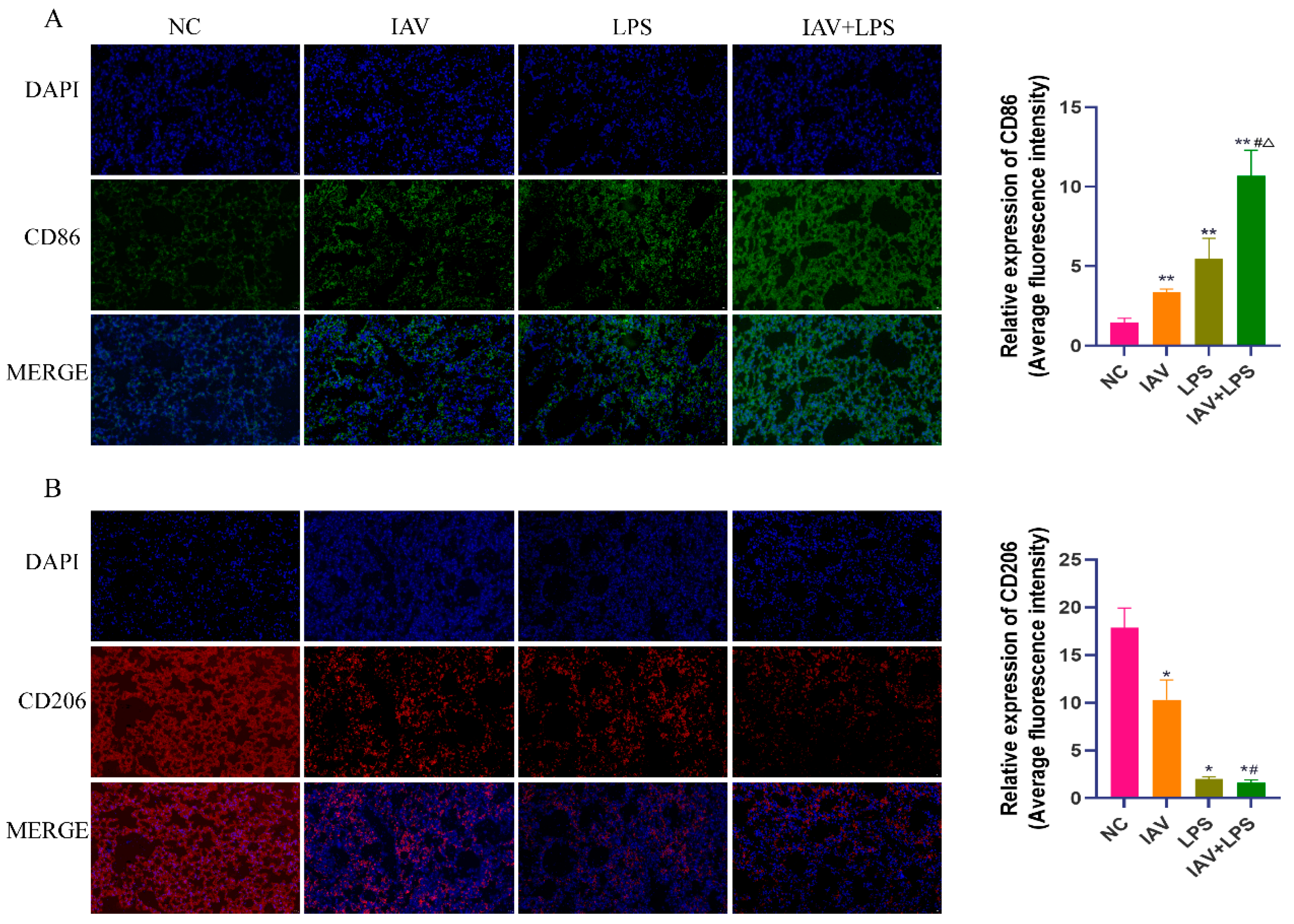 Microorganisms 12 01291 g004