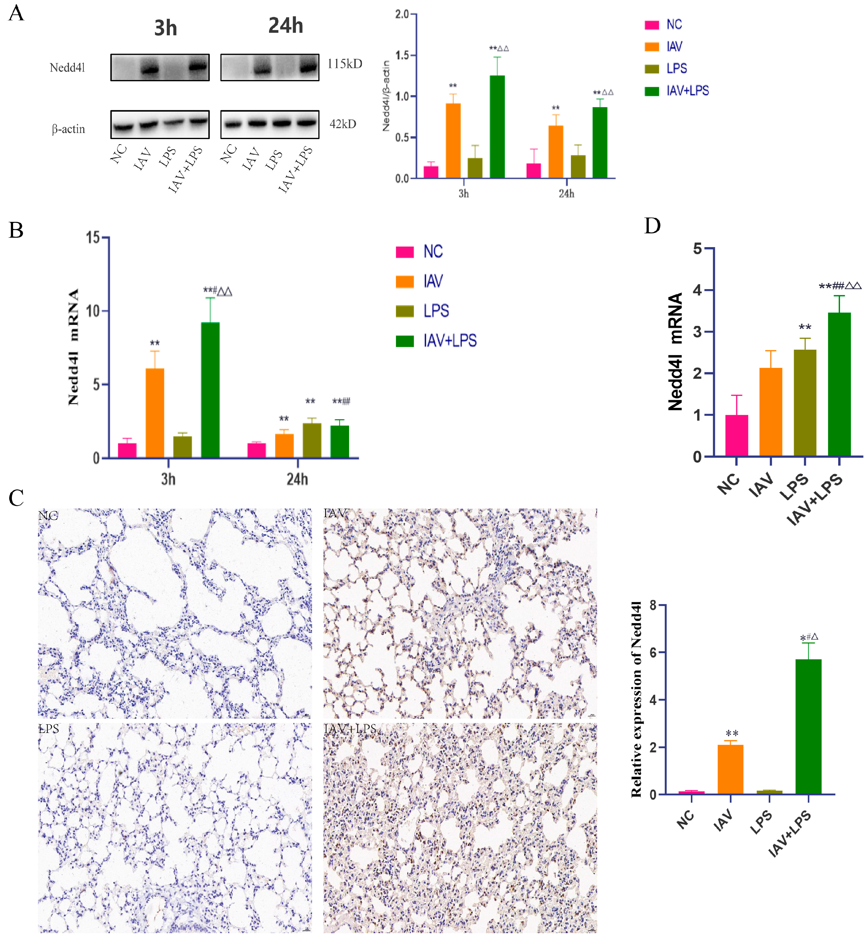Microorganisms 12 01291 g006