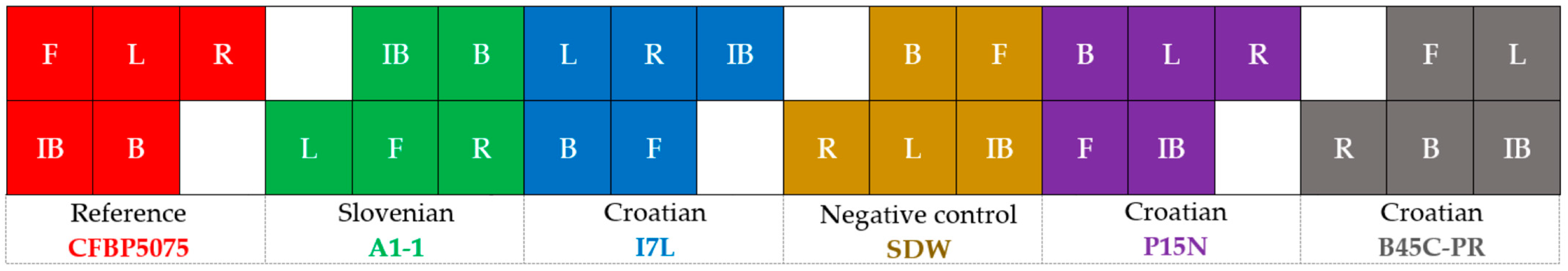 Microorganisms 12 01301 g002