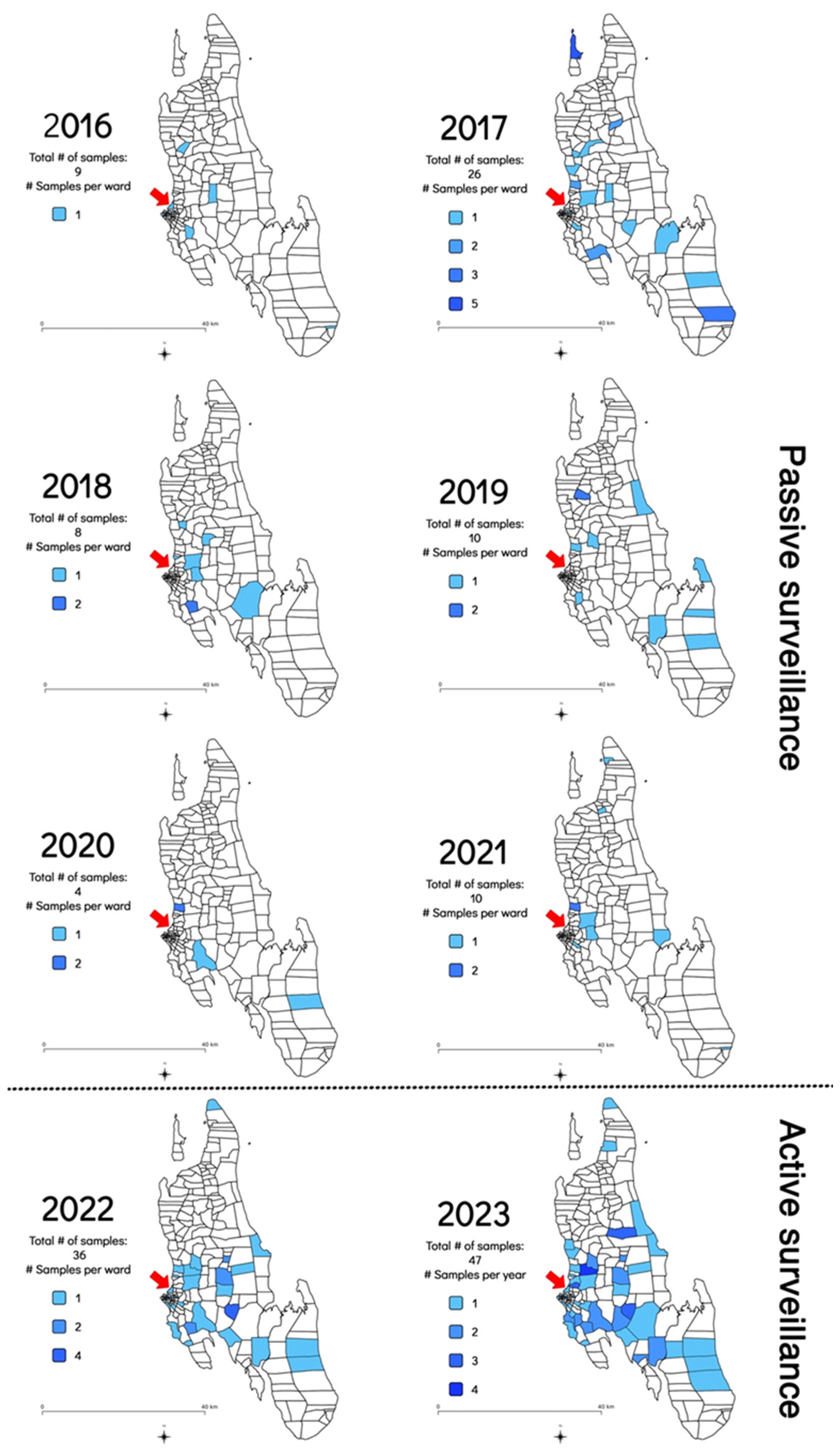 Microorganisms 12 01314 g003