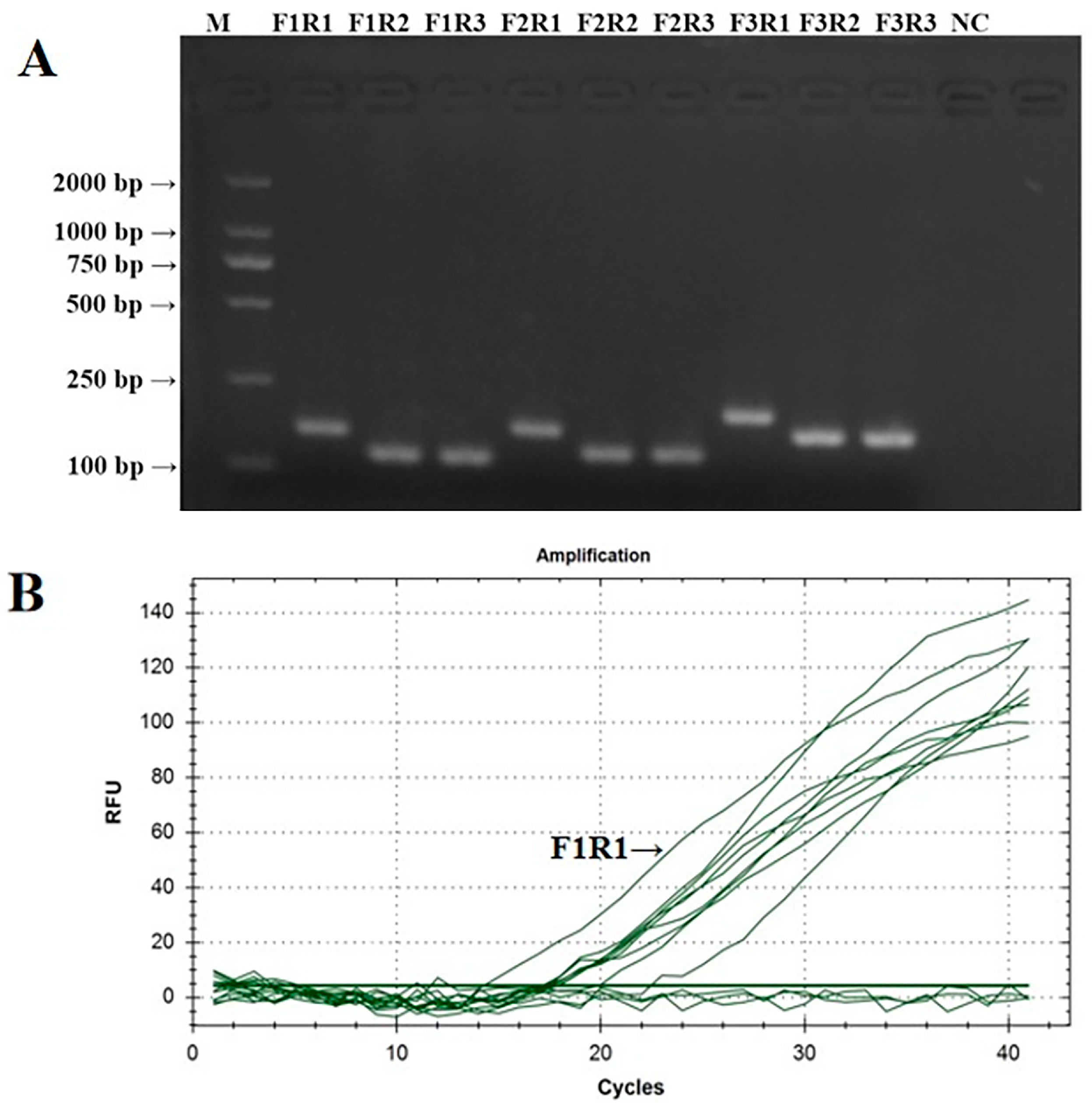 Microorganisms 12 01315 g002