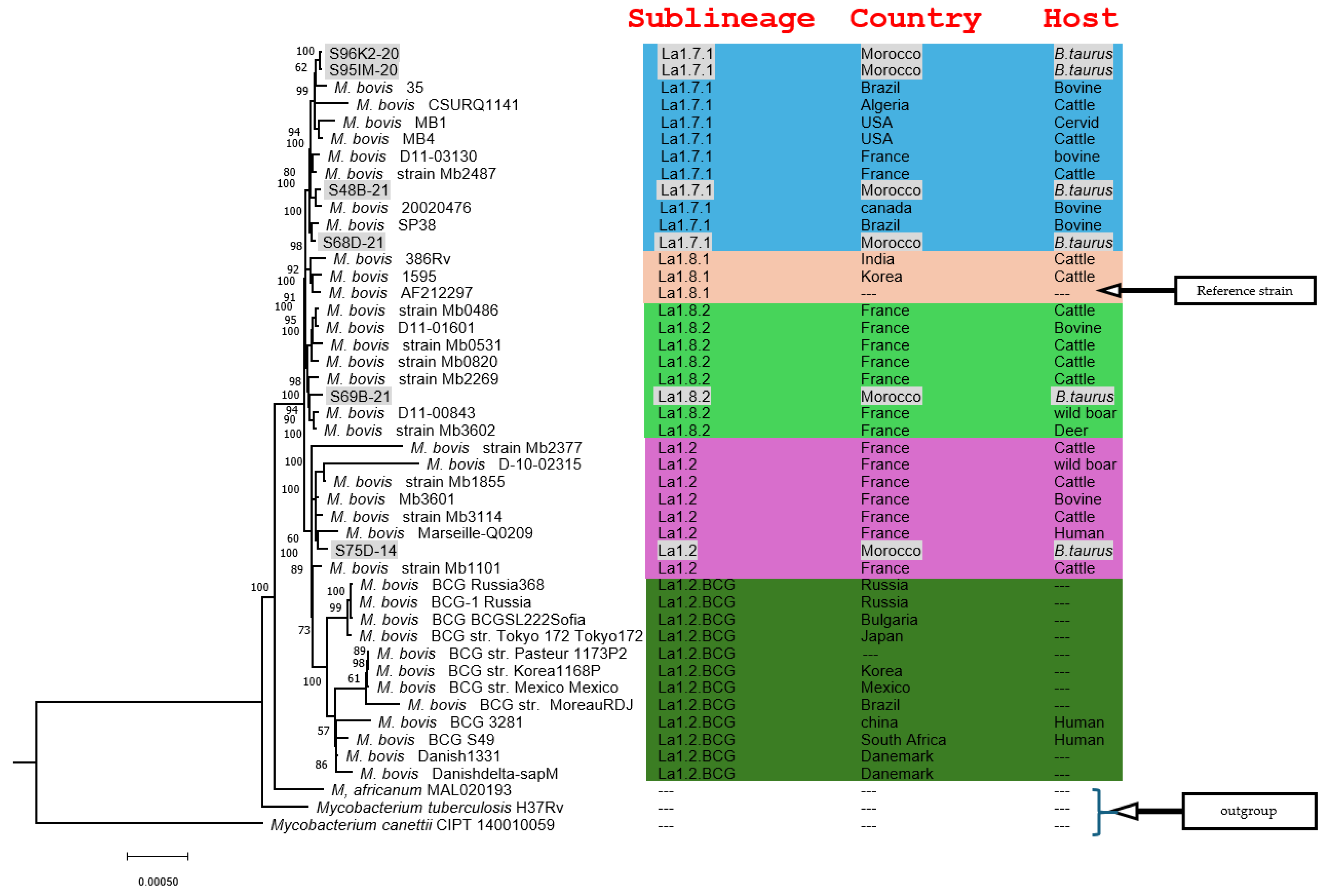 Microorganisms 12 01316 g001 Microorganisms 12 01316 g001