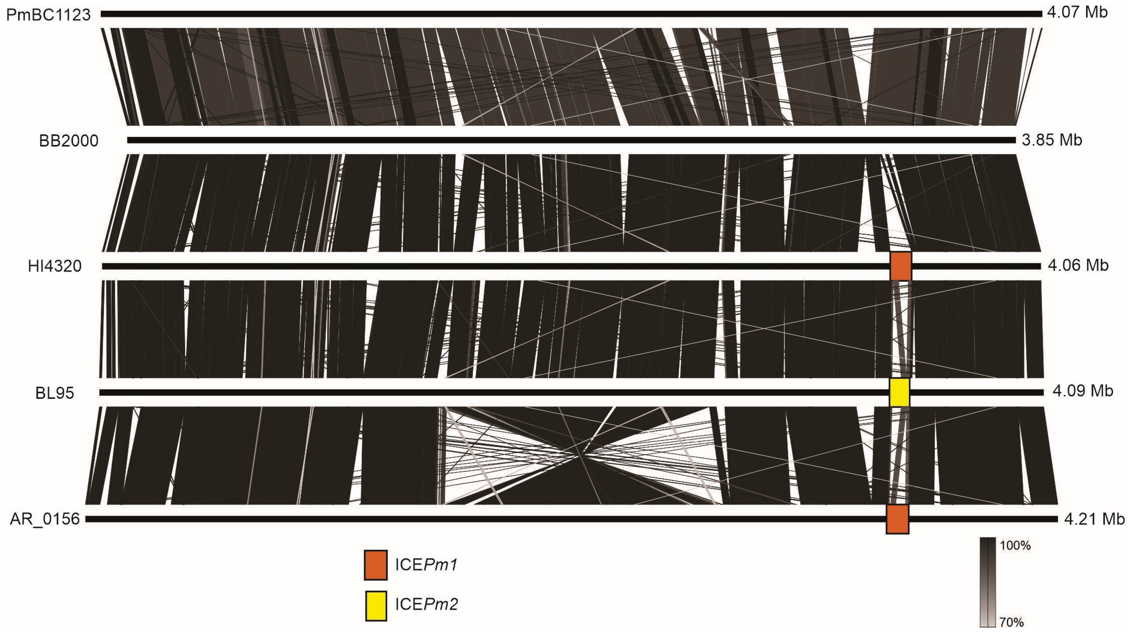 Microorganisms 12 01321 g002