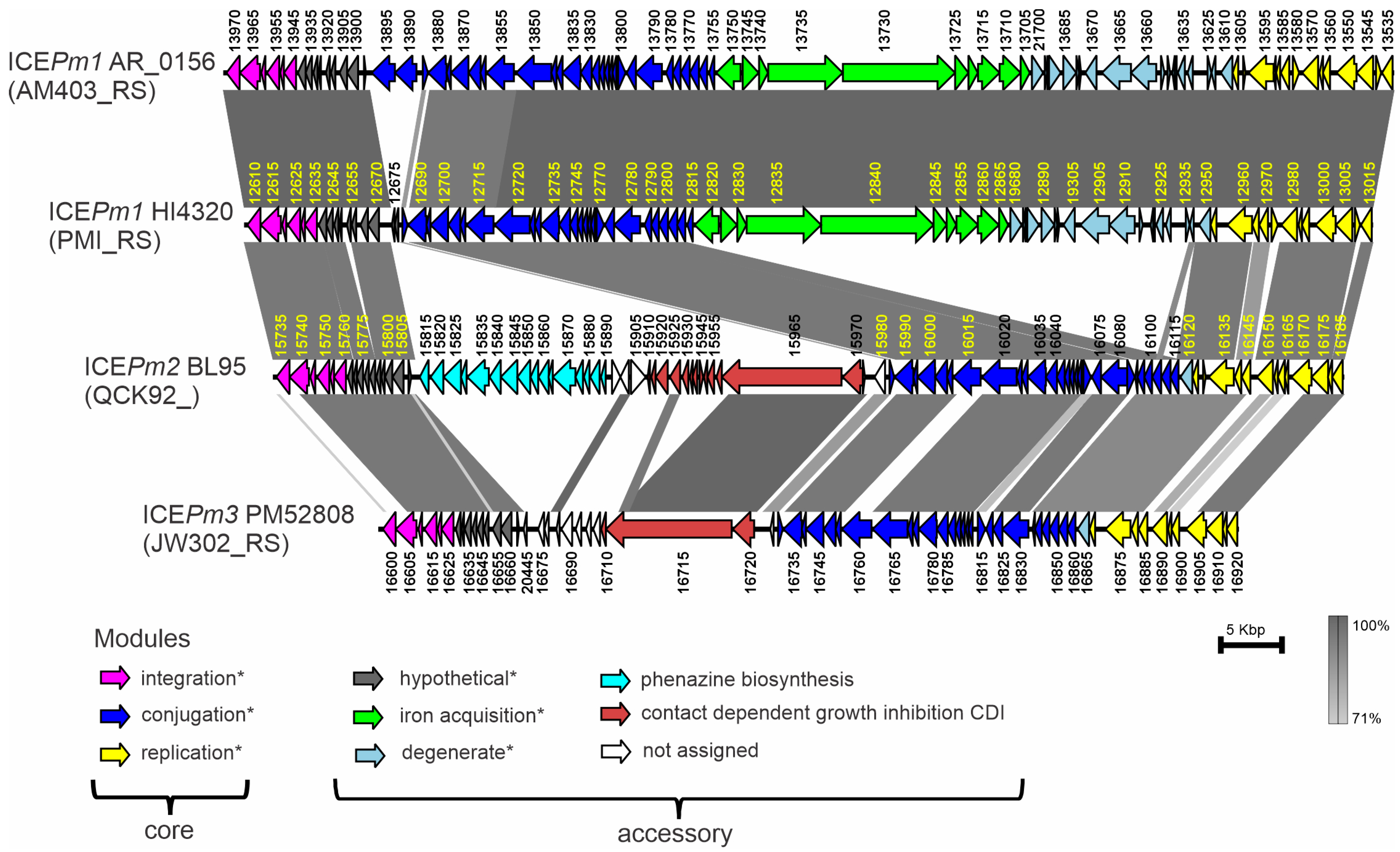 Microorganisms 12 01321 g003