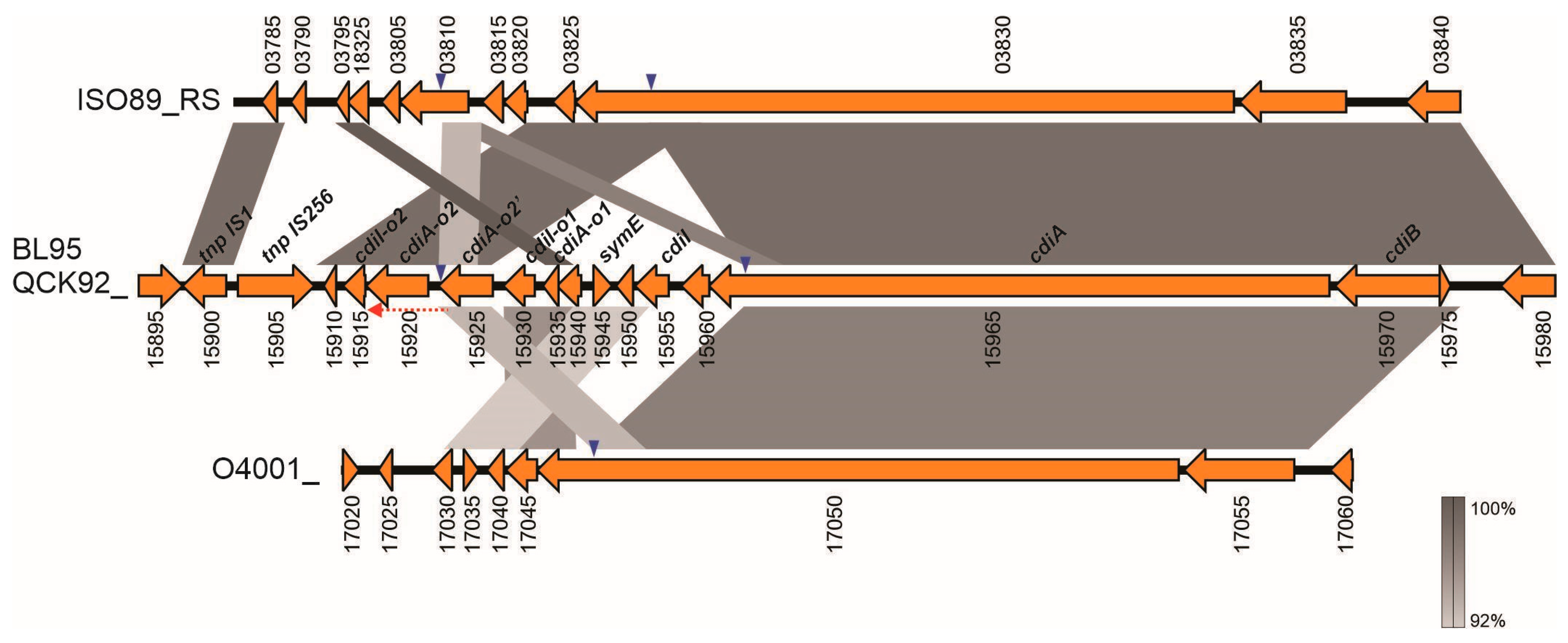 Microorganisms 12 01321 g005