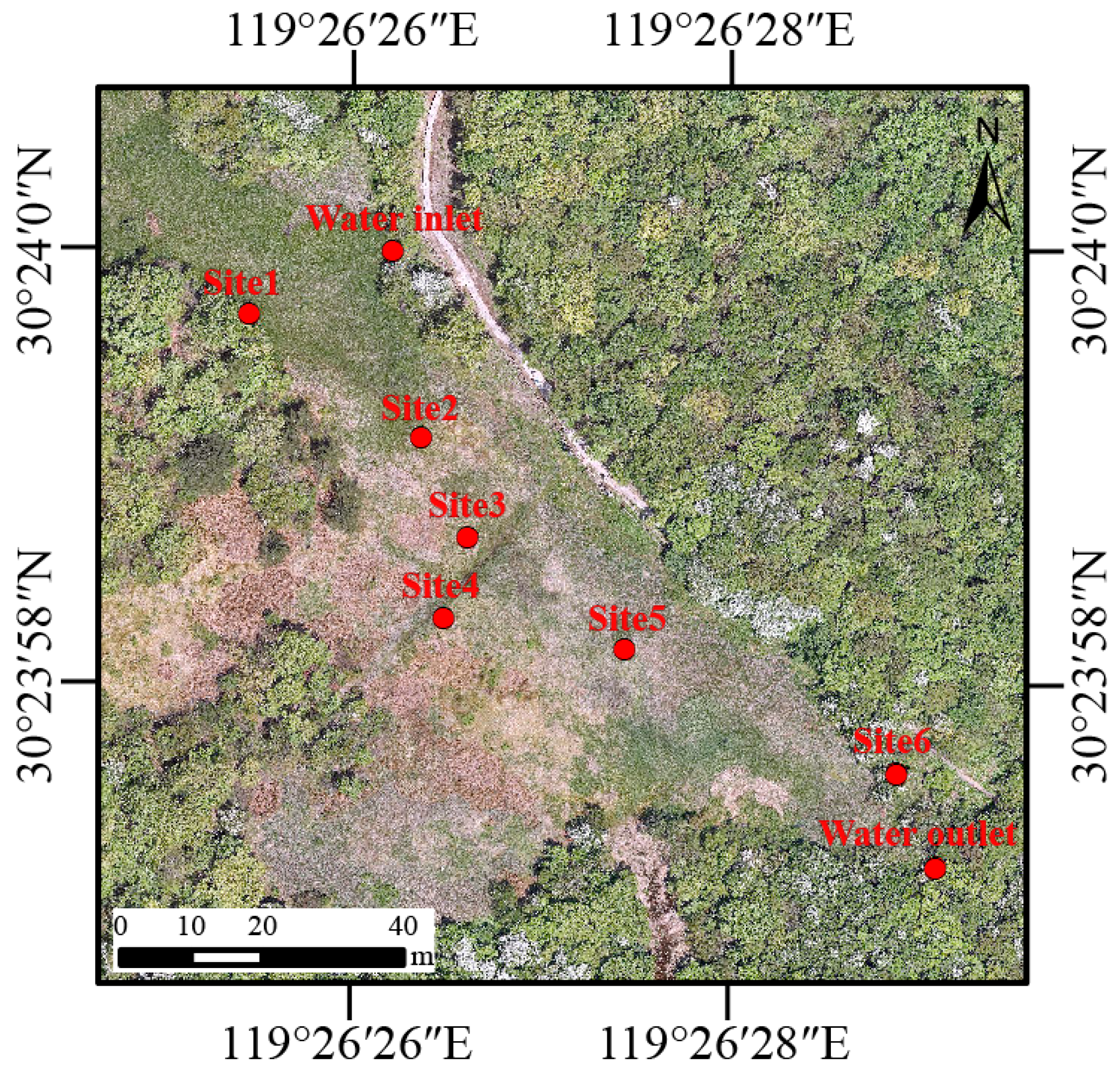 Microorganisms 12 01344 g001