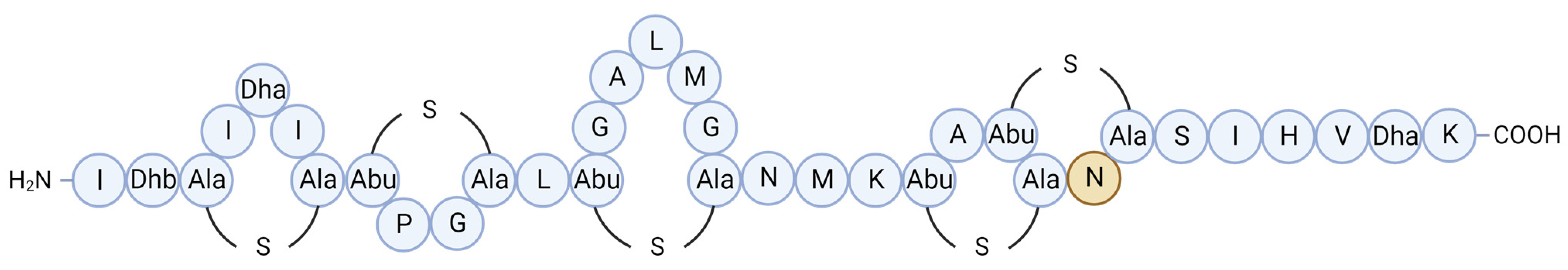 Microorganisms 12 01346 g002