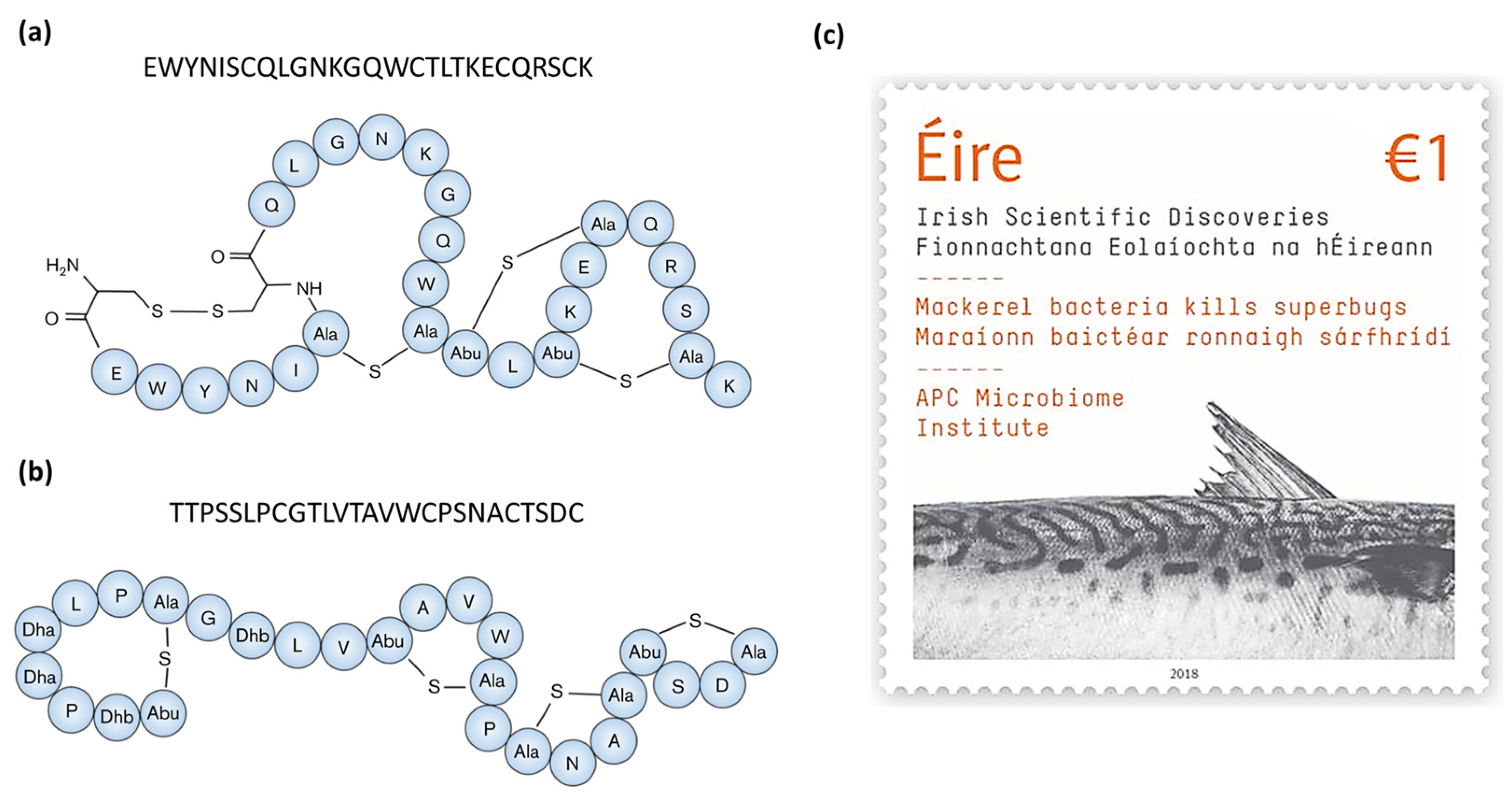 Microorganisms 12 01346 g003