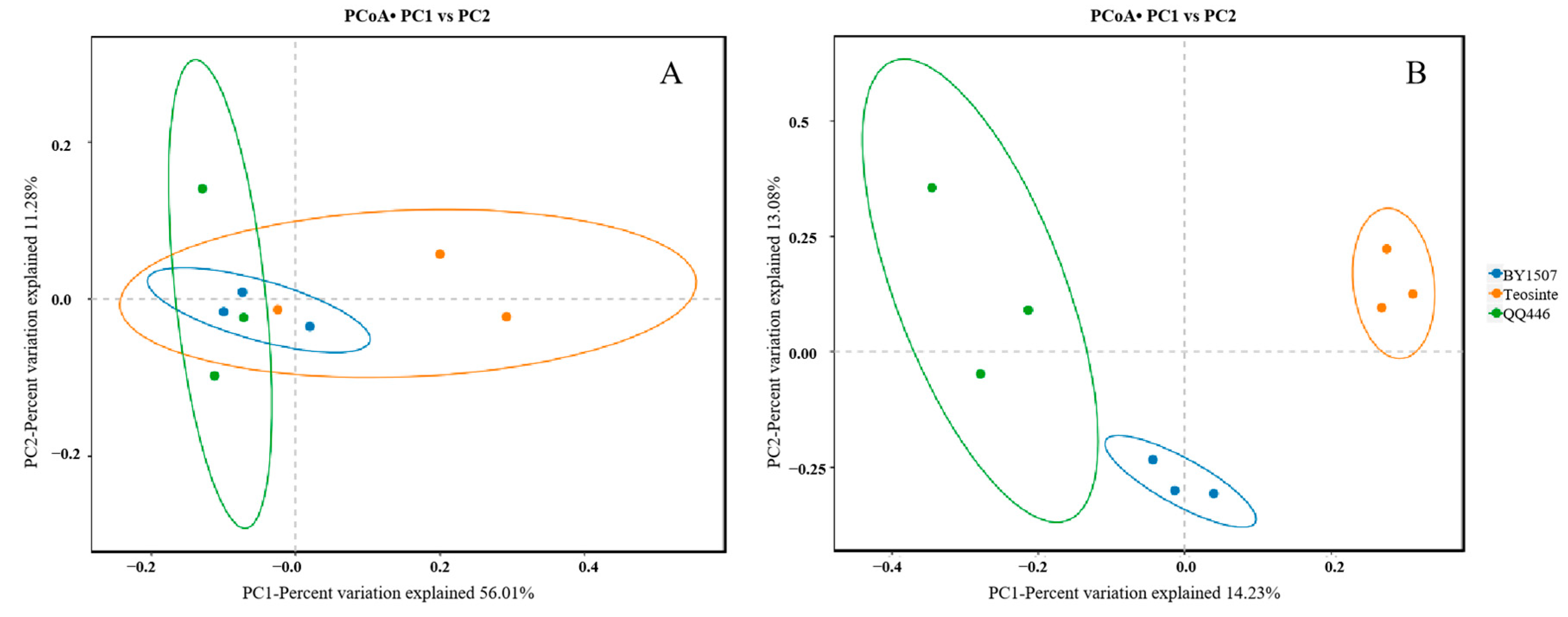 Microorganisms 12 01348 g005