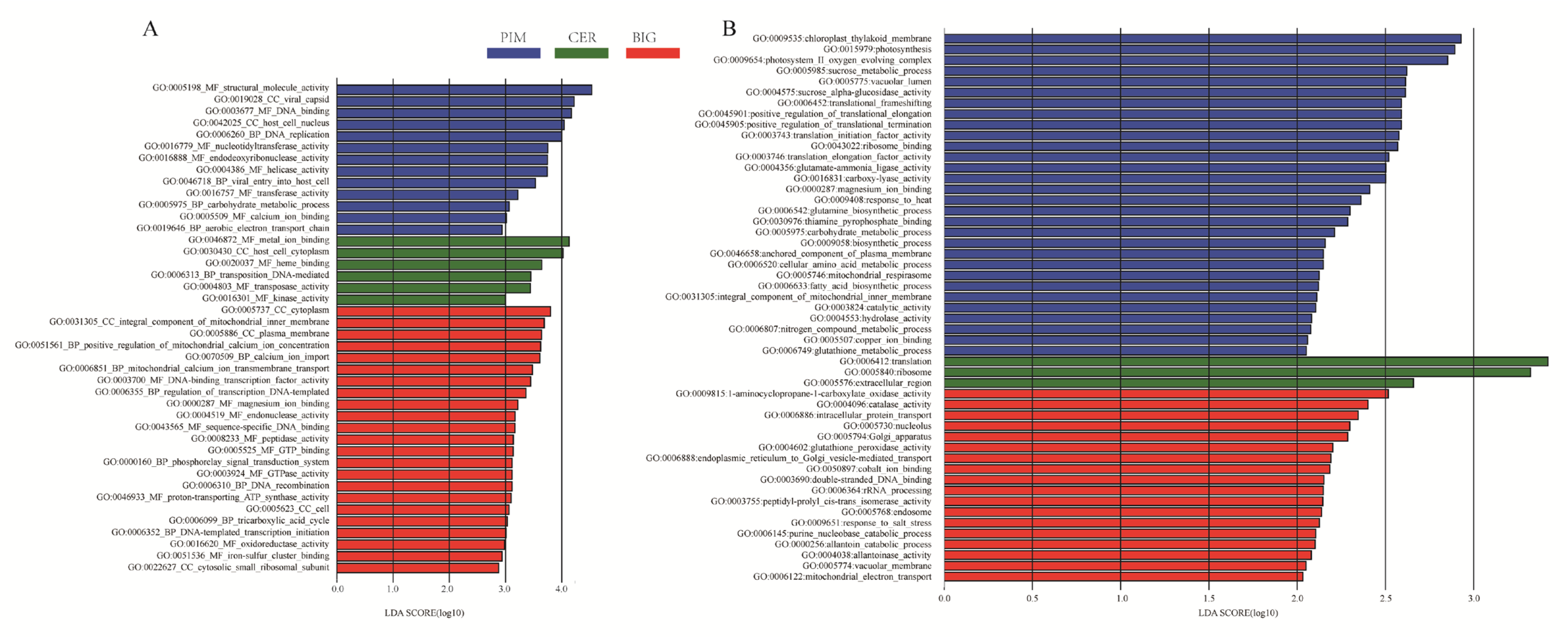 Microorganisms 12 01351 g006