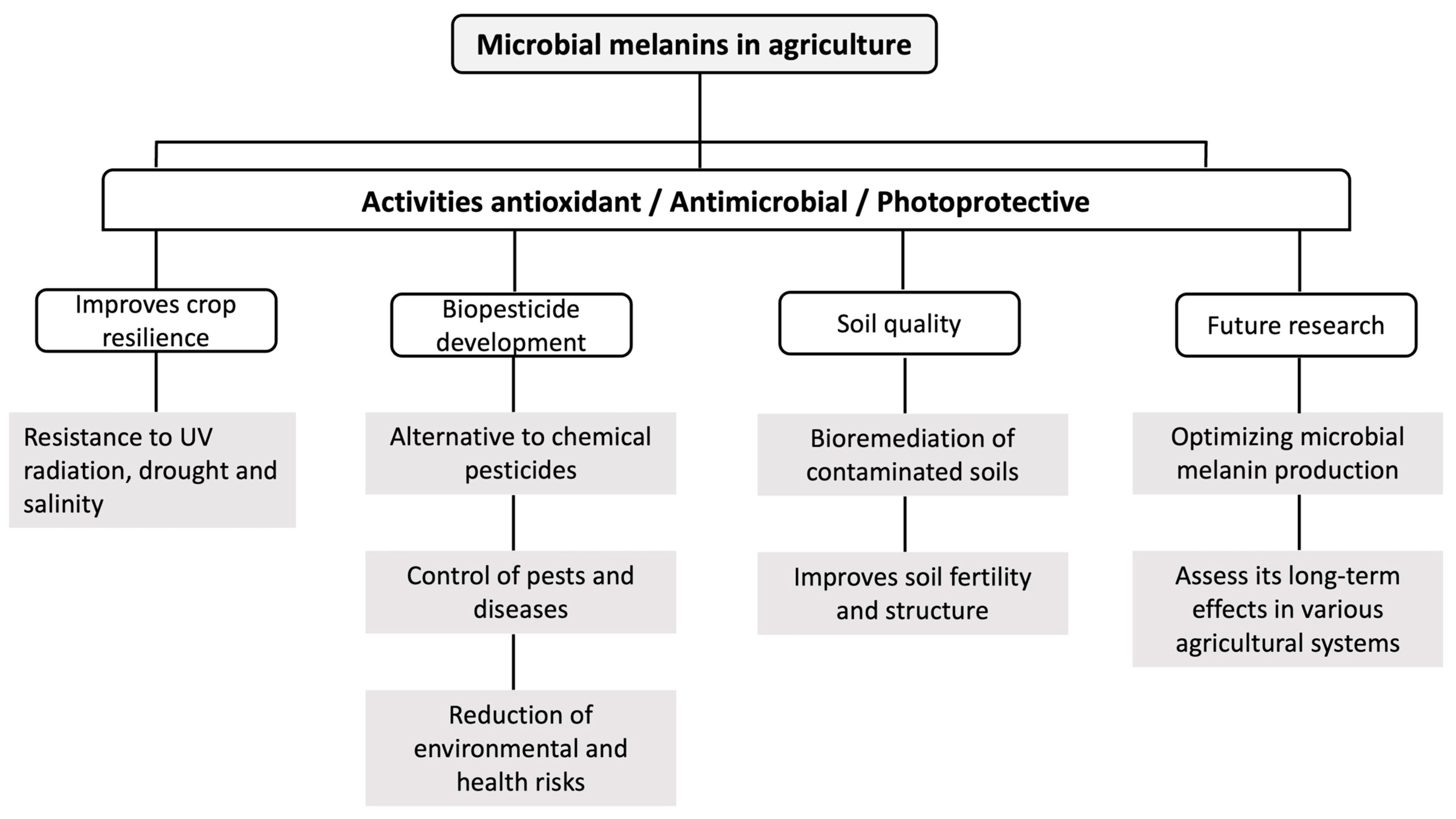 Microorganisms 12 01352 g002