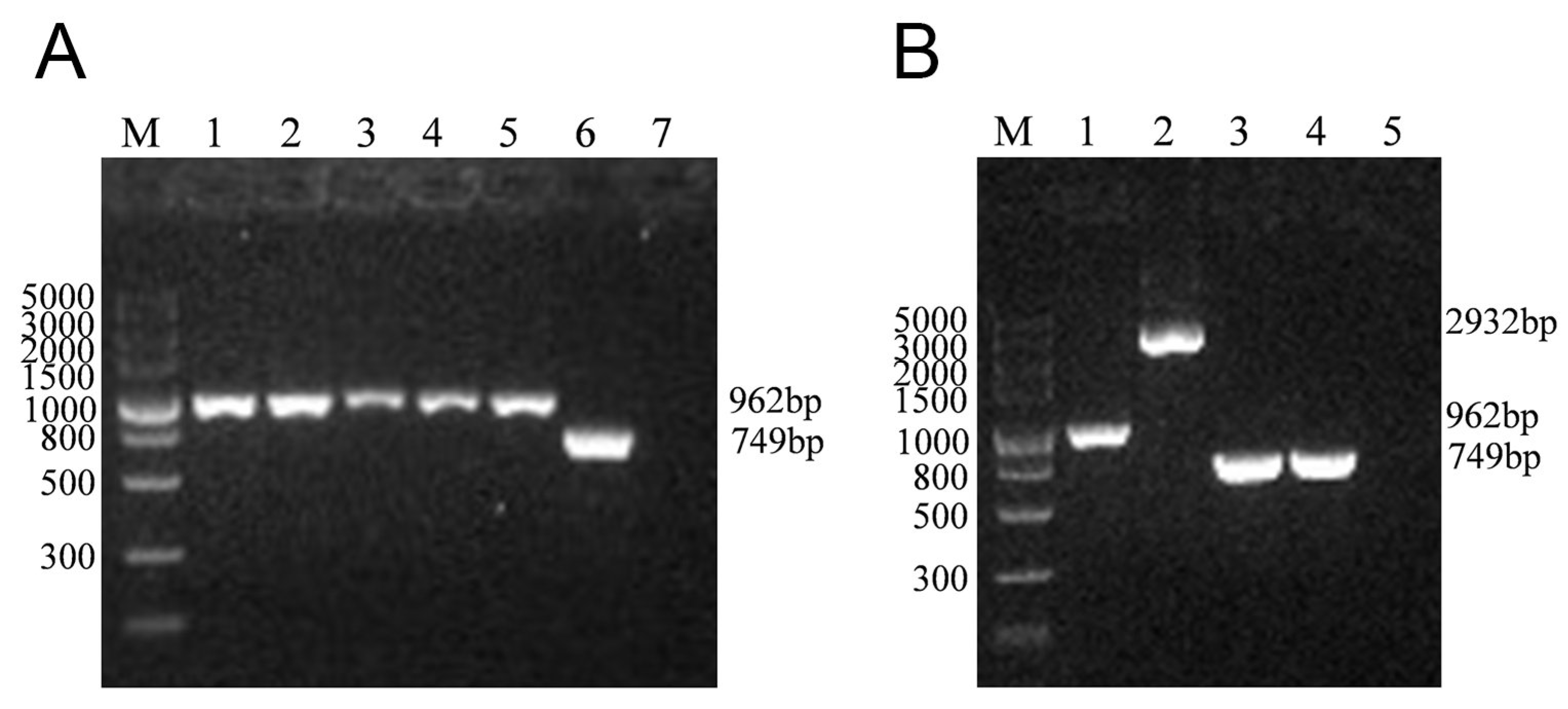 Microorganisms 12 01354 g002