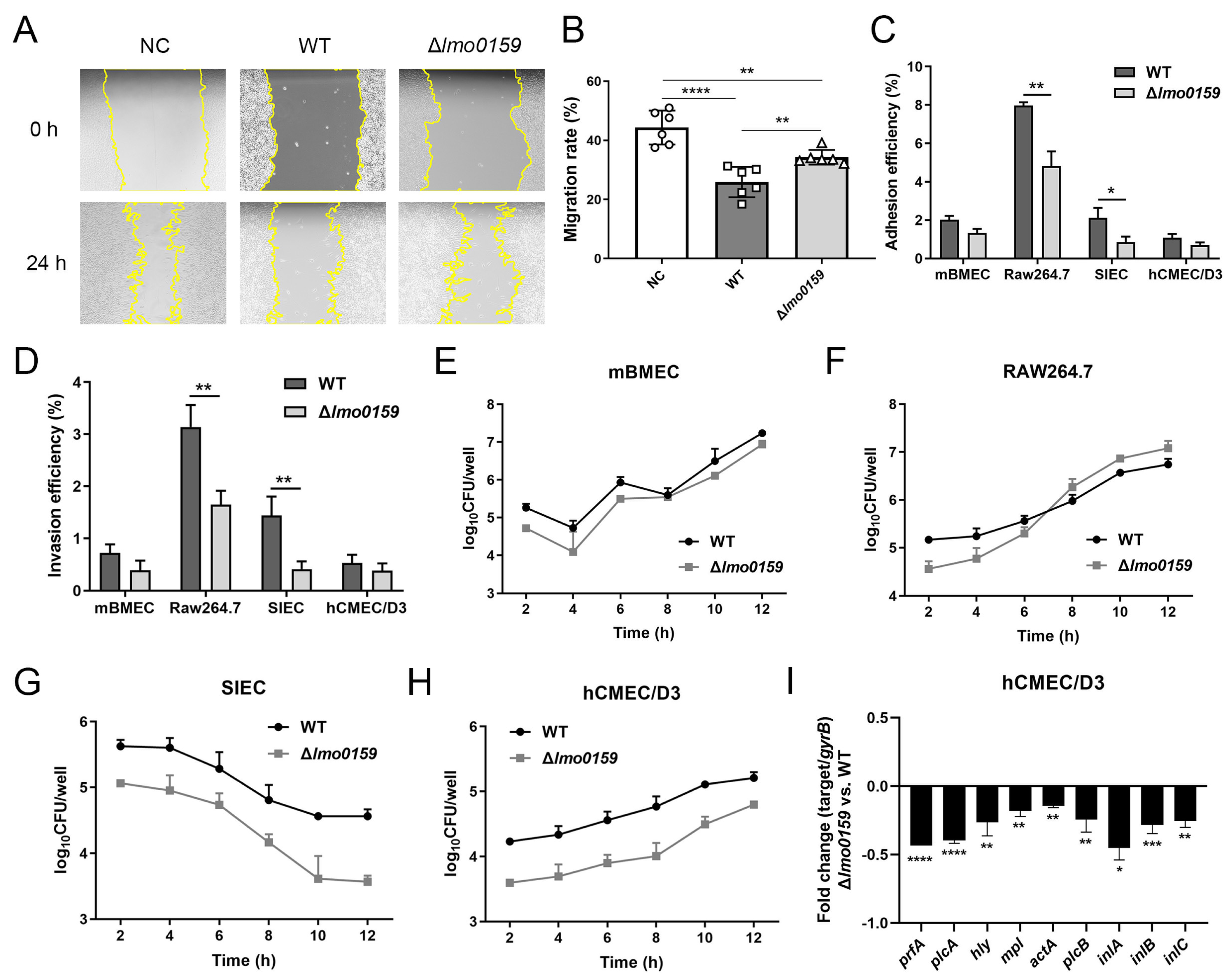 Microorganisms 12 01354 g006