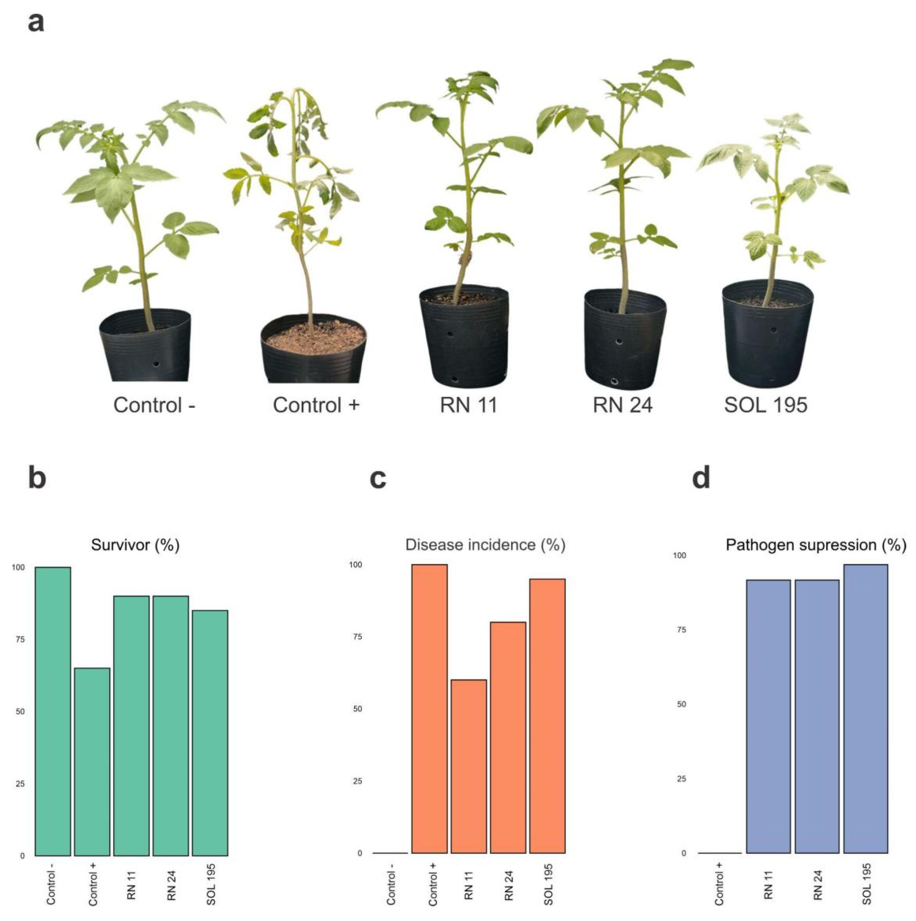 Microorganisms 12 01364 g001