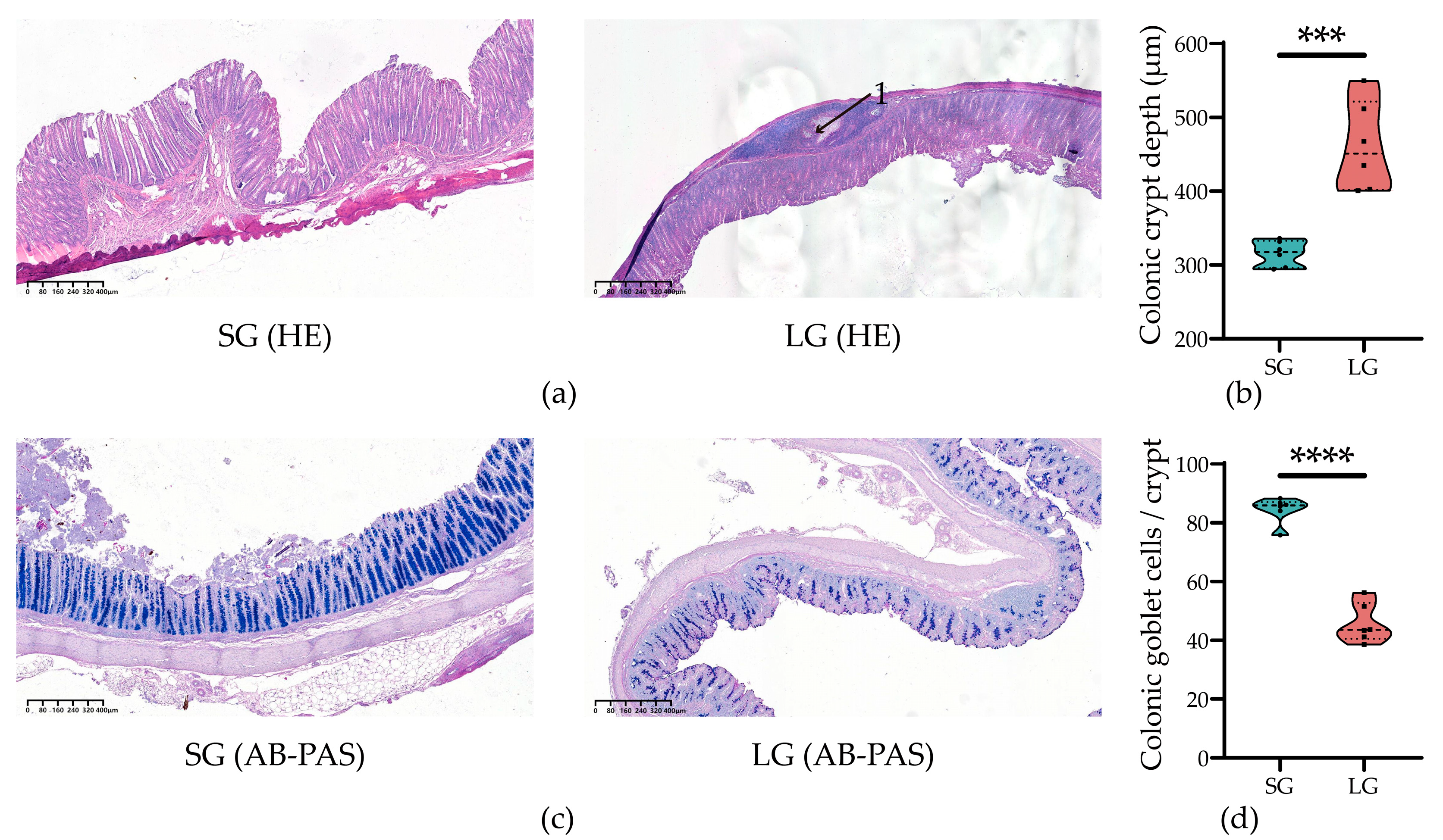 Microorganisms 12 01371 g001 Microorganisms 12 01371 g001