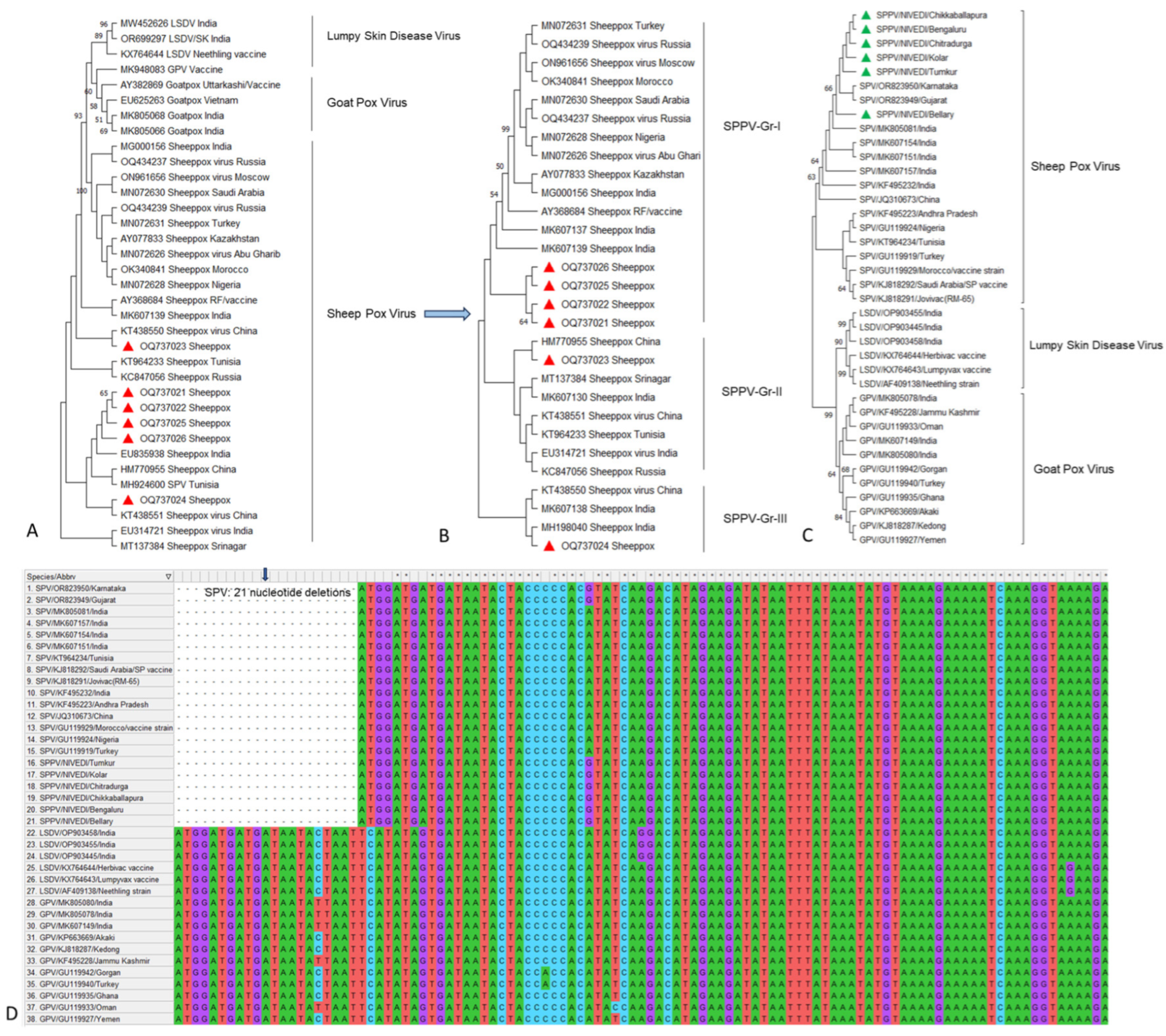Microorganisms 12 01373 g006
