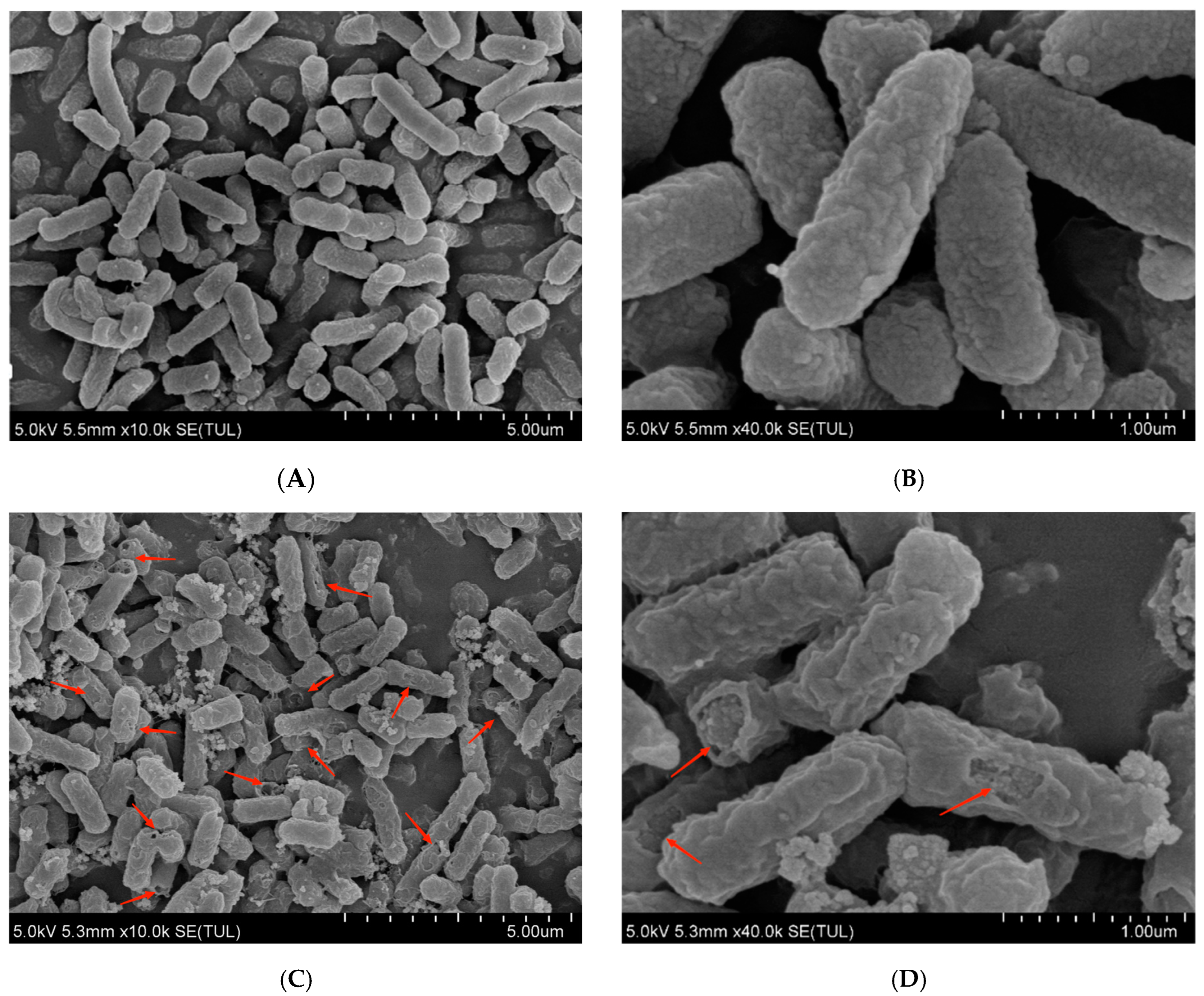 Microorganisms 12 01380 g002 Microorganisms 12 01380 g002