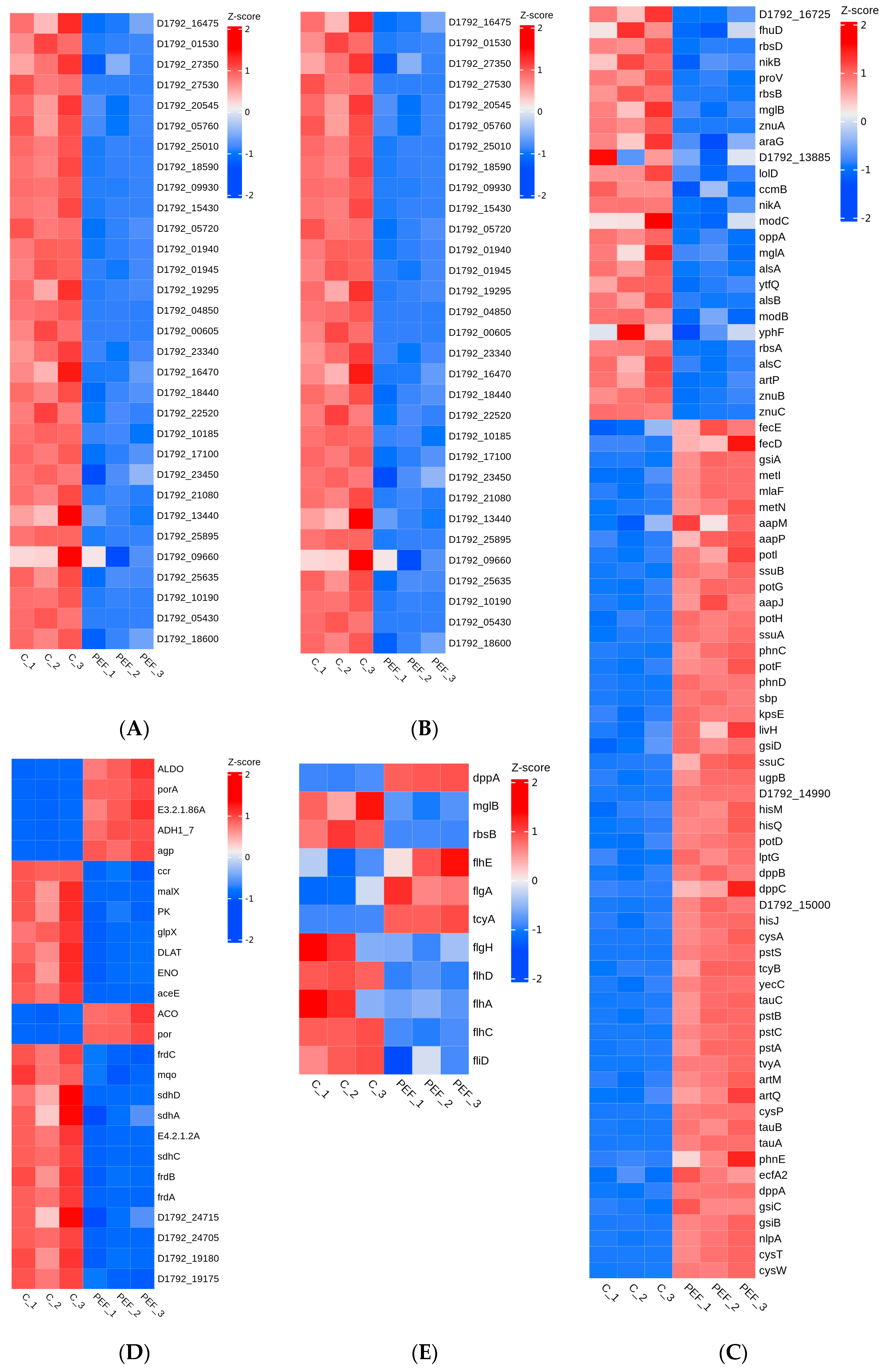 Microorganisms 12 01380 g007 Microorganisms 12 01380 g007