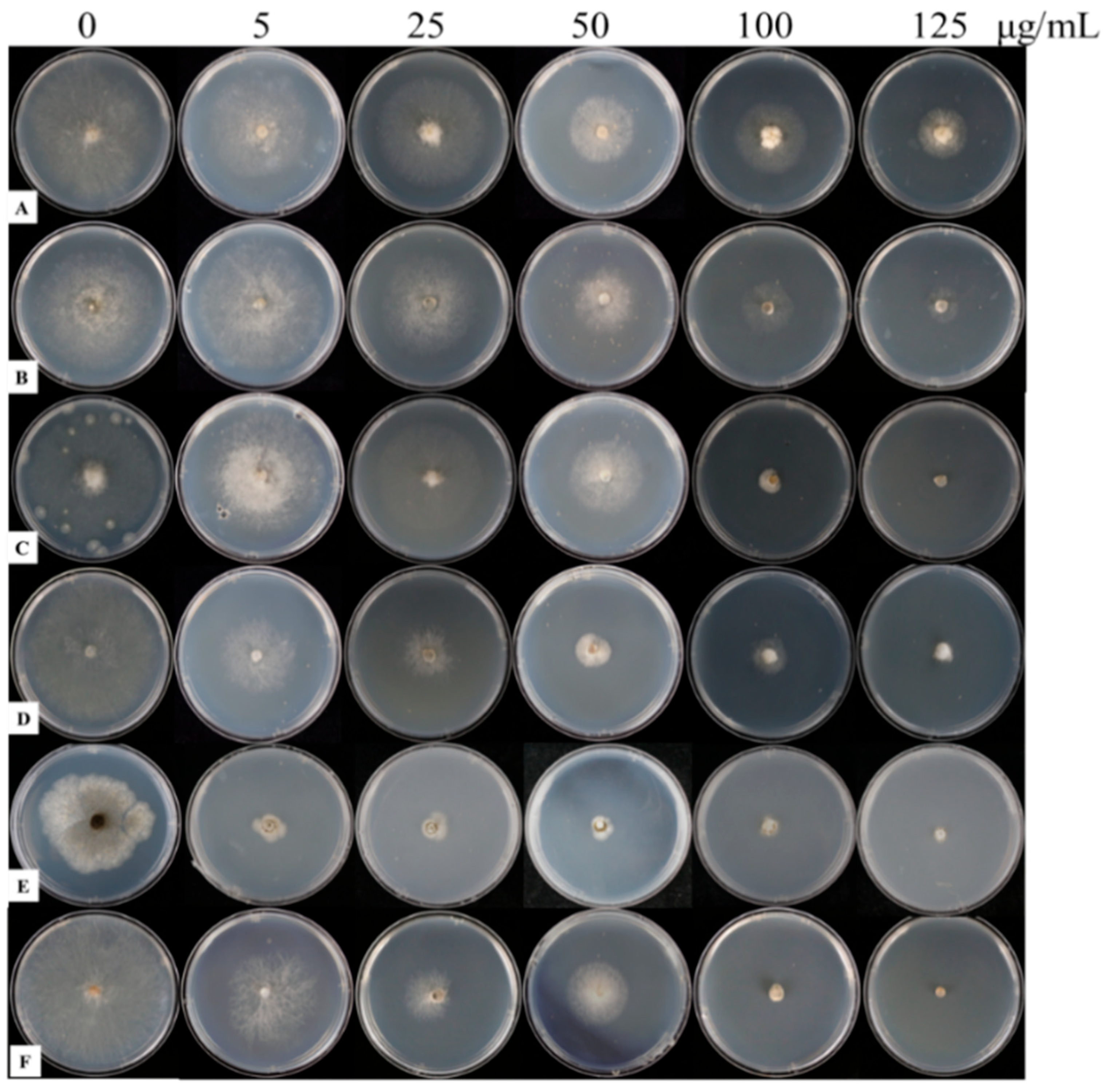 Microorganisms 12 01383 g005 Microorganisms 12 01383 g005