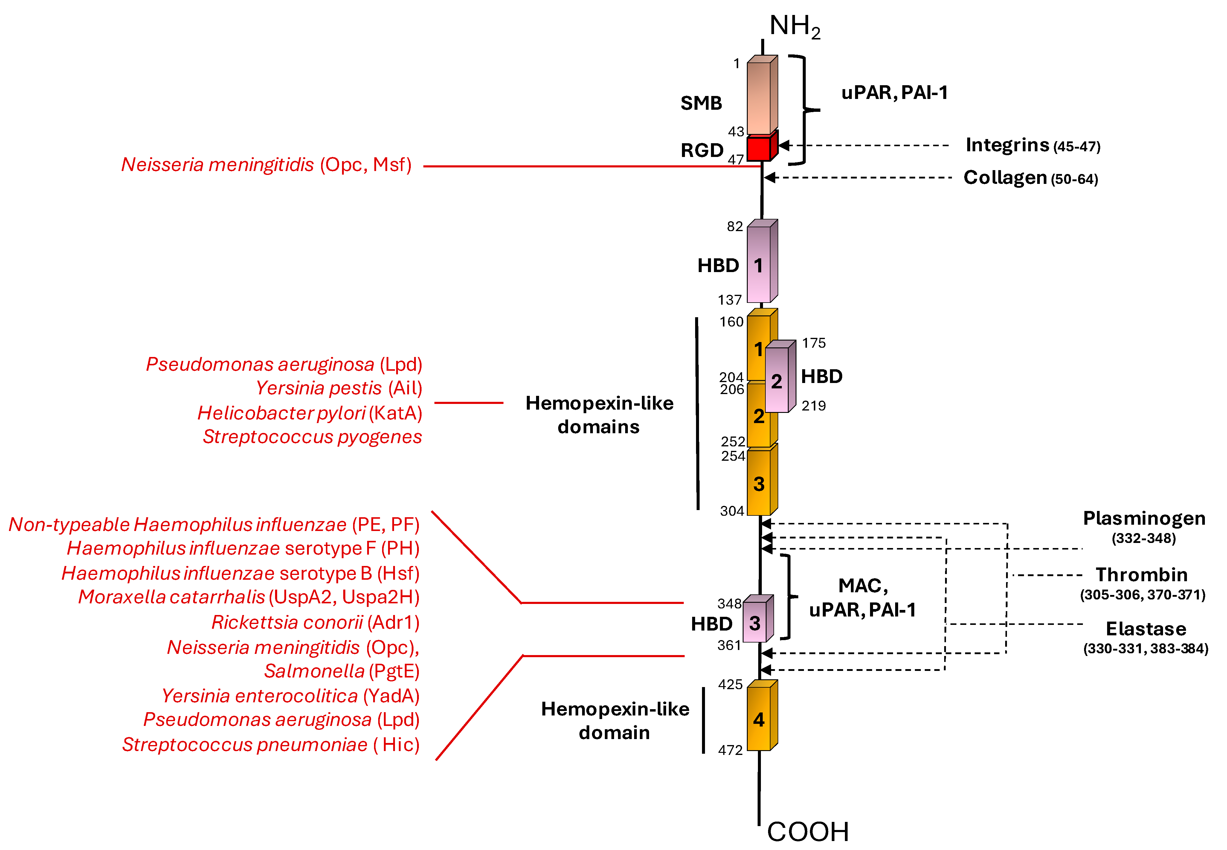 Microorganisms 12 01385 g001 Microorganisms 12 01385 g001