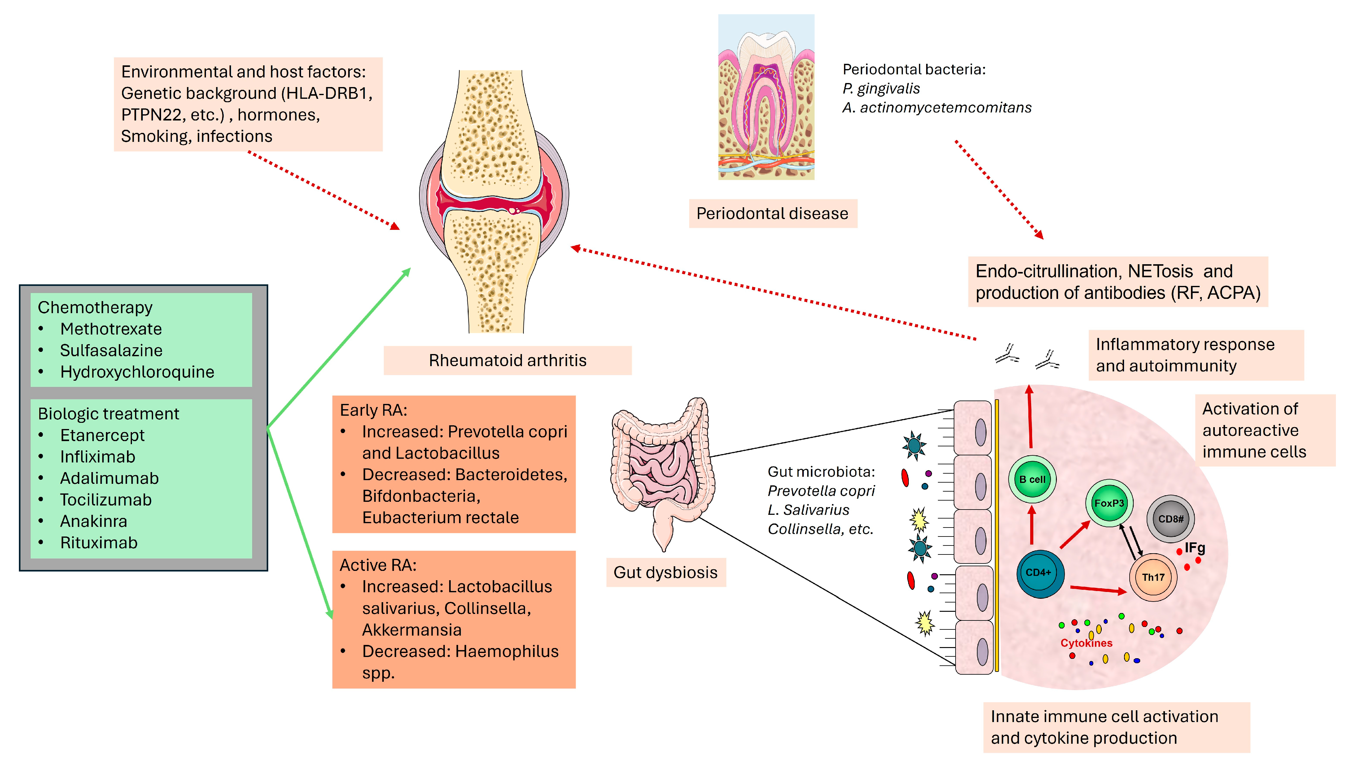 Microorganisms 12 01387 g001