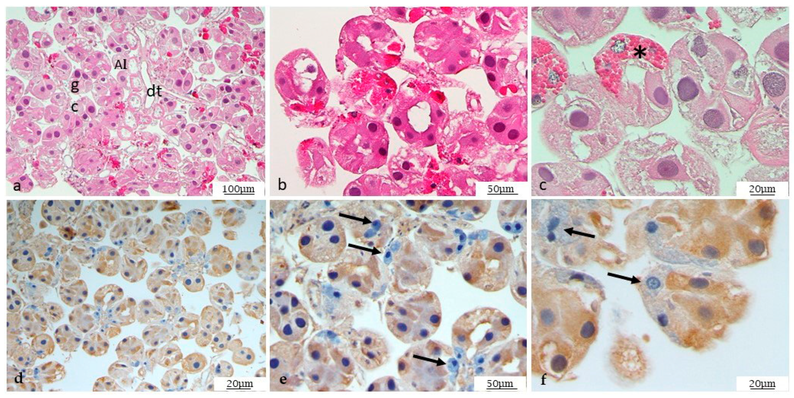 Microorganisms 12 01390 g002