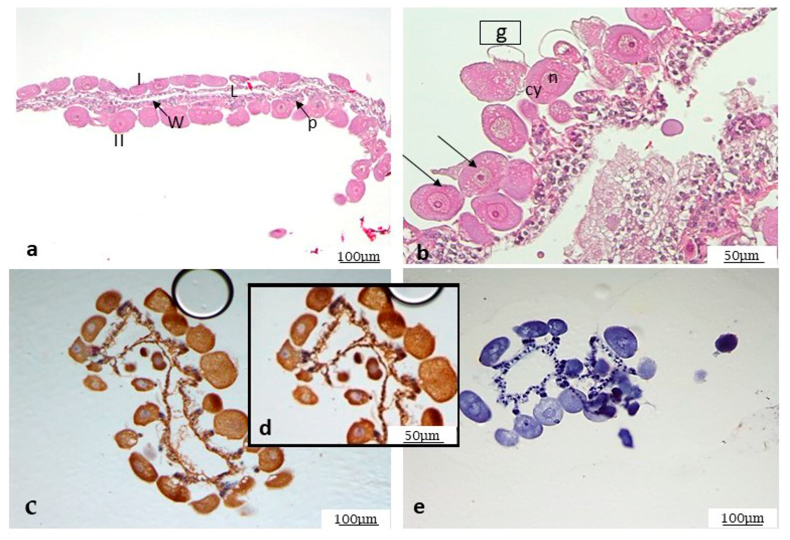 Microorganisms 12 01390 g003