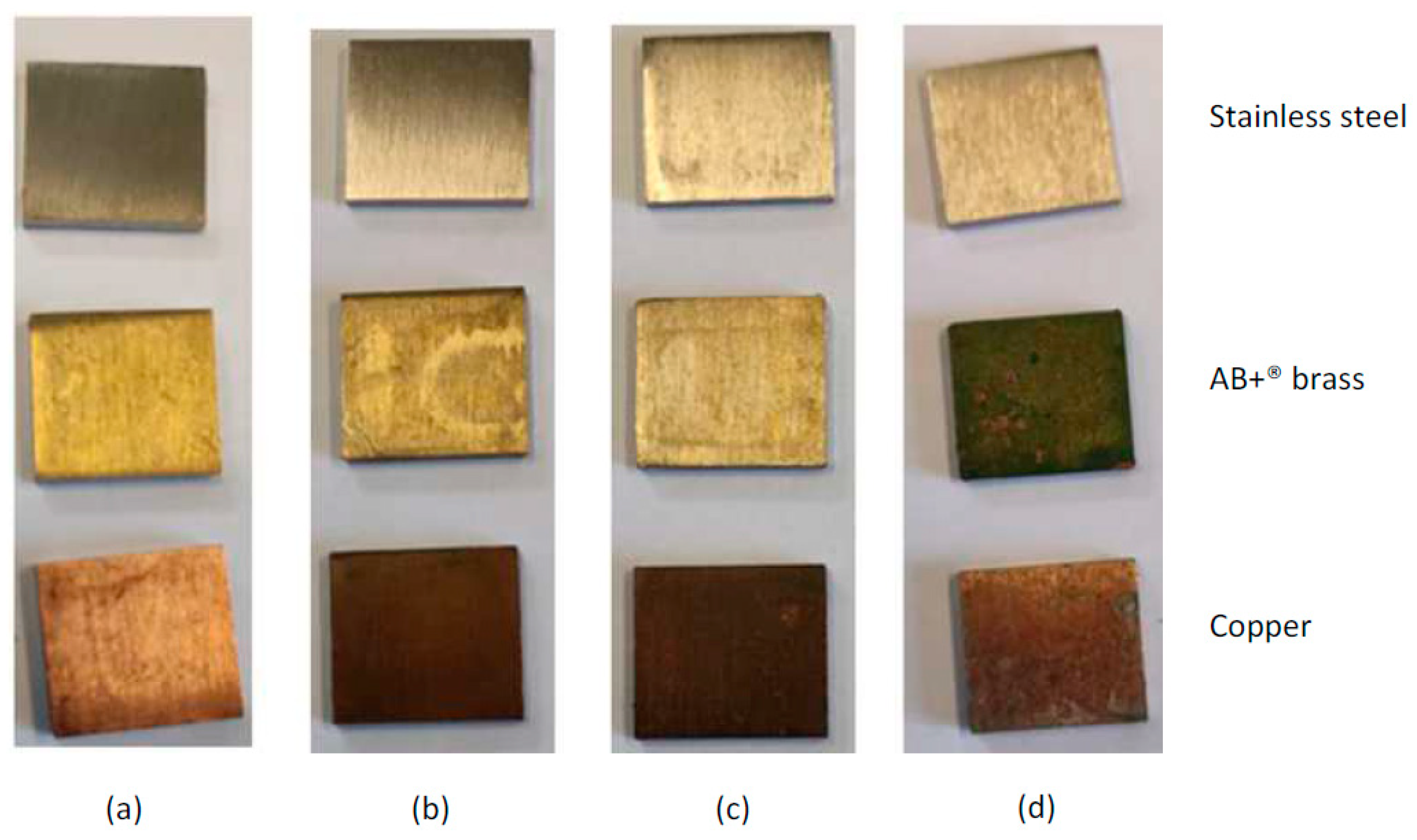 Microorganisms 12 01393 g001 Microorganisms 12 01393 g001