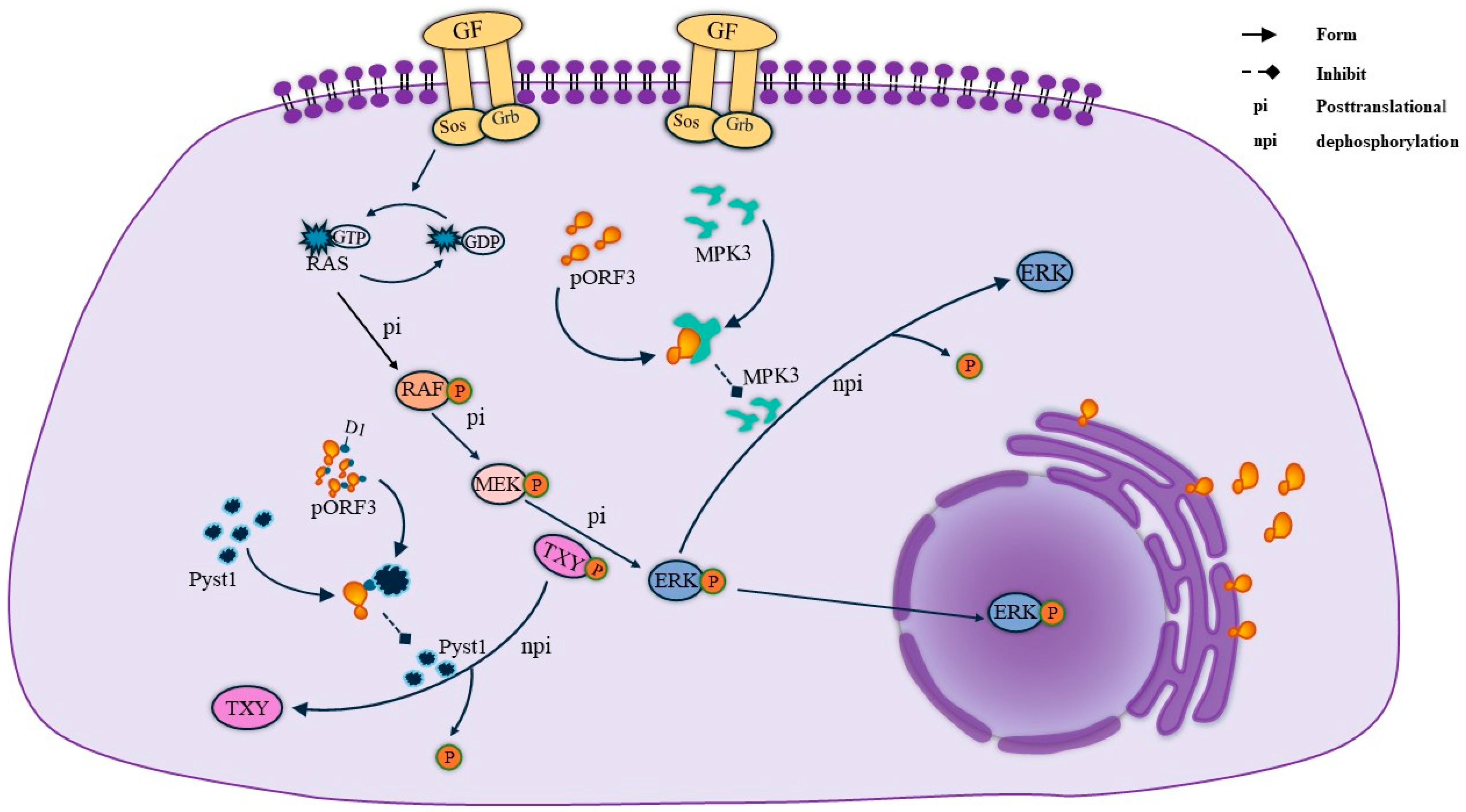 Microorganisms 12 01405 g003