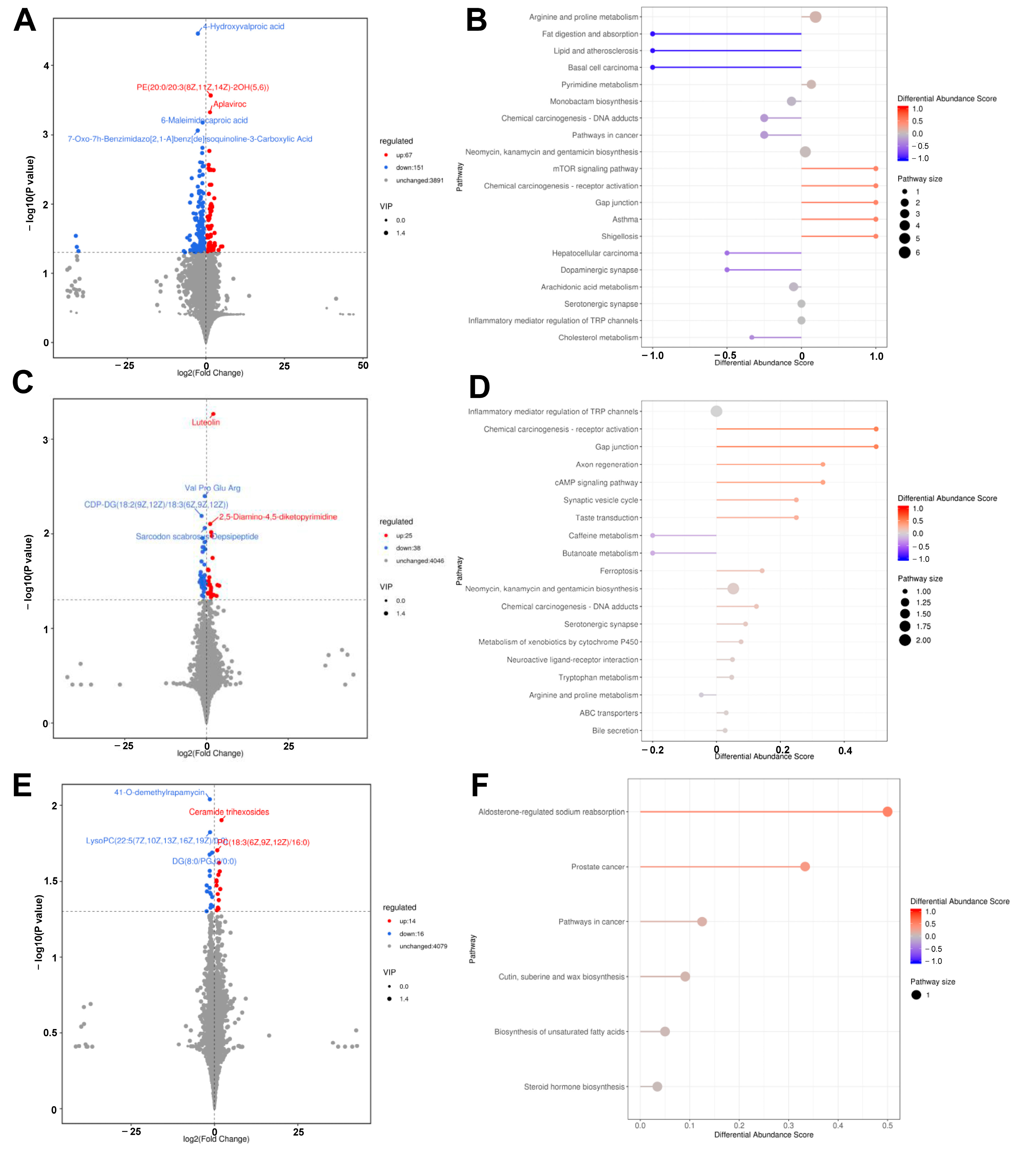 Microorganisms 12 01410 g004